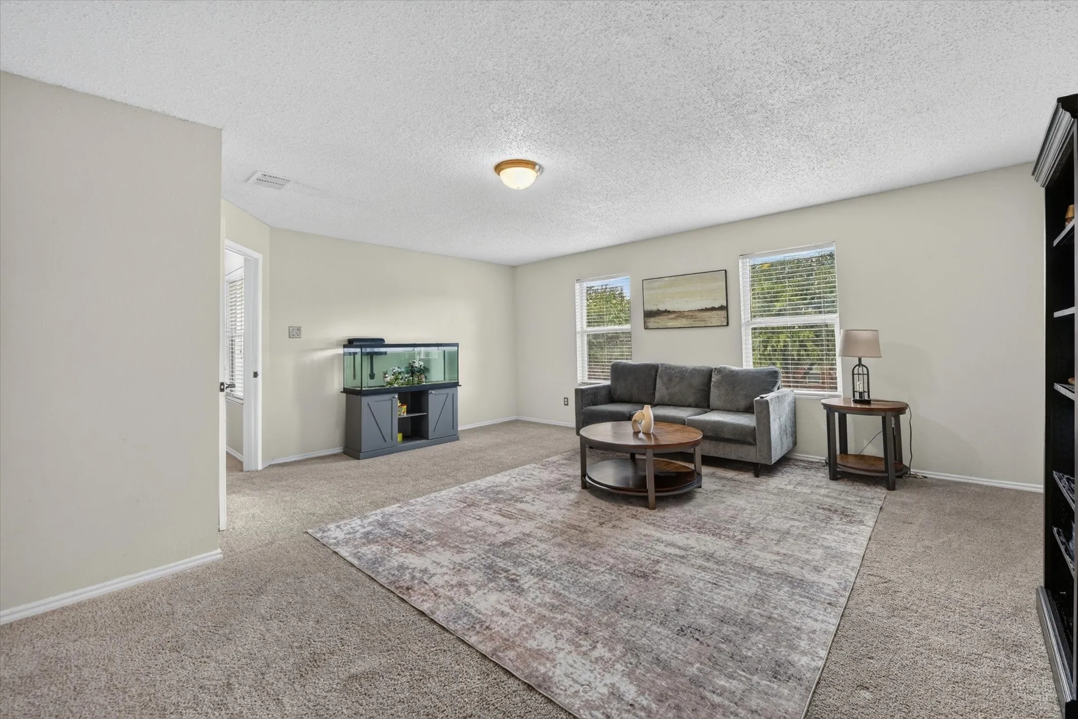 Spacious room featuring neutral carpeting, light-toned walls, and multiple windows with blinds