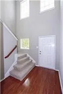 Foyer entrance featuring a high ceiling, plenty of natural light, dark wood-type flooring, and stairs