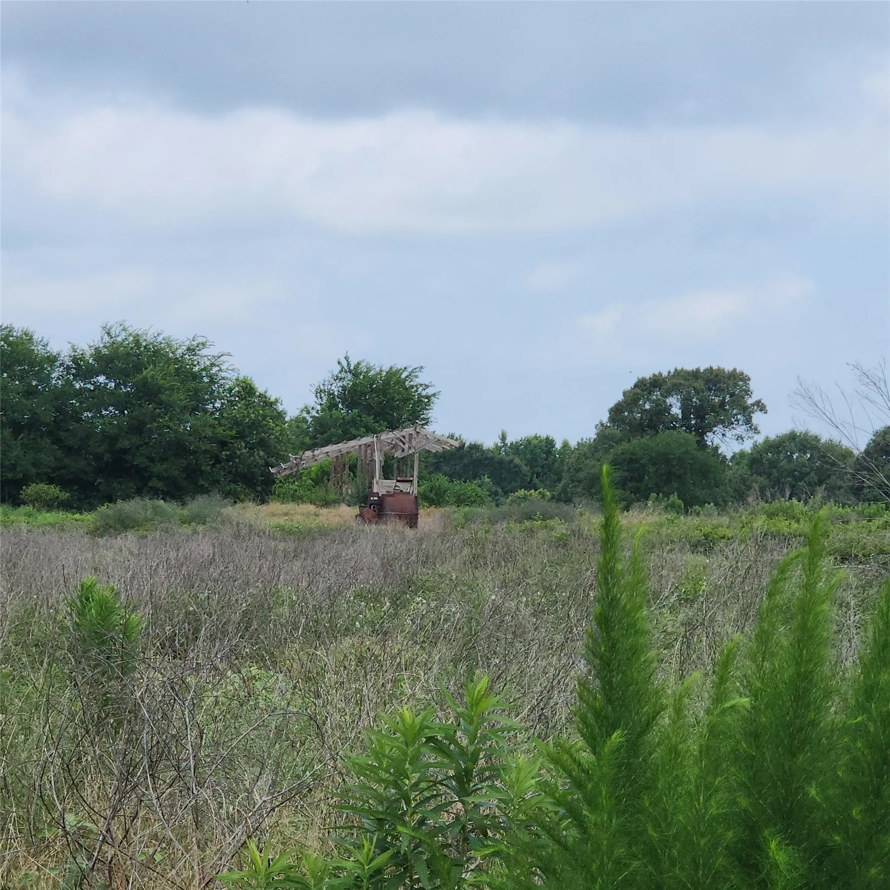 Improved Land For Sale in Upshur County , 6705 Fox Road, Gilmer, Texas 75644, 0, 0, Garage spaces, 0 Sqft, built in 0, mls#21329258, Real Estate Agent in Gilmer, Homes For Sale in Upshur county, Homes For Sale in Gilmer, Realtor in Gilmer Texas, Real Estate Brokerage Independent Realty Texas, Luminita Cordes Realtor