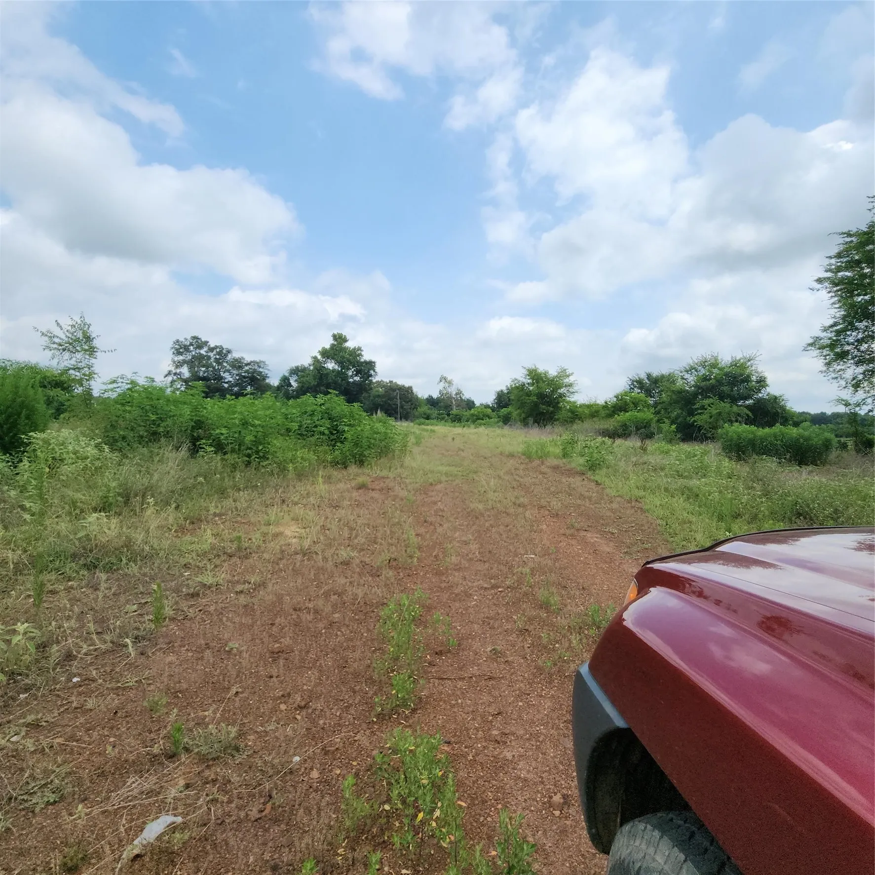 Improved Land For Sale in Upshur County , 6705 Fox Road, Gilmer, Texas 75644, 0, 0, Garage spaces, 0 Sqft, built in 0, mls#21329258, Real Estate Agent in Gilmer, Homes For Sale in Upshur county, Homes For Sale in Gilmer, Realtor in Gilmer Texas, Real Estate Brokerage Independent Realty Texas, Luminita Cordes Realtor