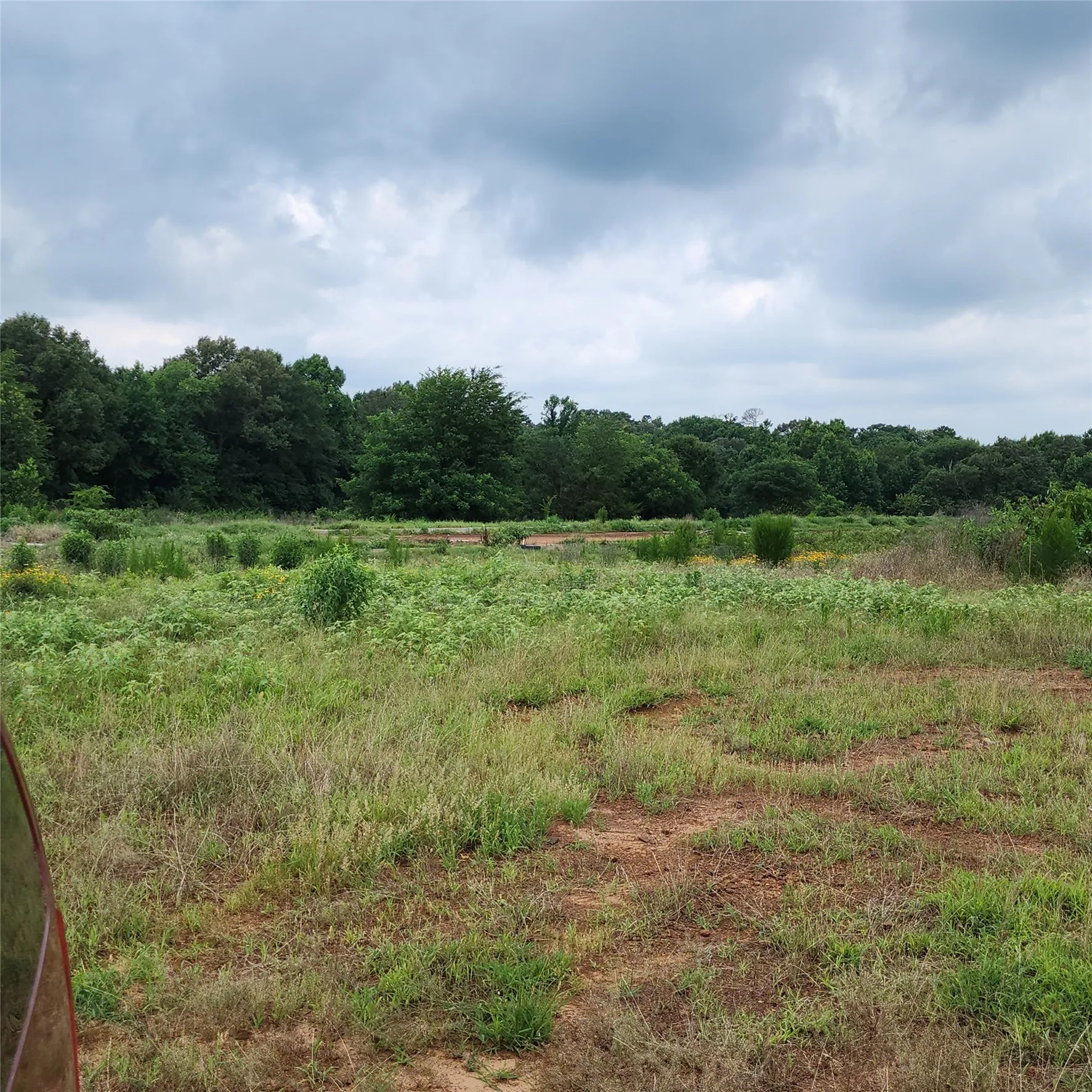 Improved Land For Sale in Upshur County , 6705 Fox Road, Gilmer, Texas 75644, 0, 0, Garage spaces, 0 Sqft, built in 0, mls#21329258, Real Estate Agent in Gilmer, Homes For Sale in Upshur county, Homes For Sale in Gilmer, Realtor in Gilmer Texas, Real Estate Brokerage Independent Realty Texas, Luminita Cordes Realtor
