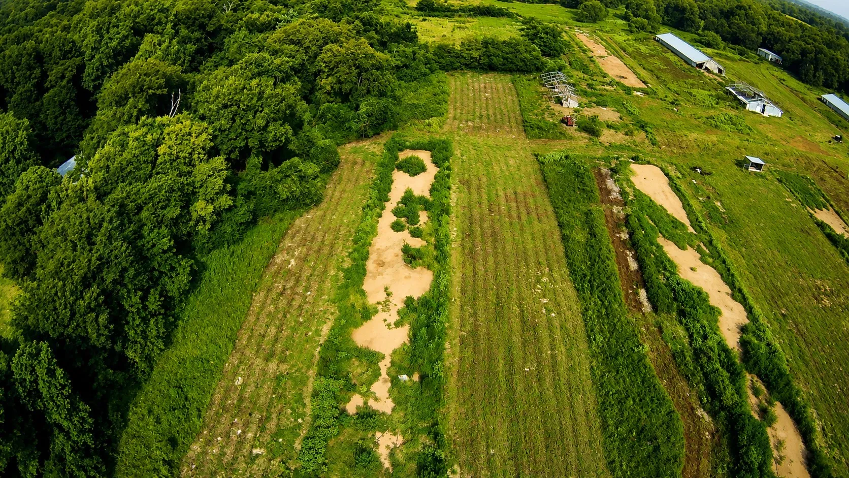 Improved Land For Sale in Upshur County , 6705 Fox Road, Gilmer, Texas 75644, 0, 0, Garage spaces, 0 Sqft, built in 0, mls#21329258, Real Estate Agent in Gilmer, Homes For Sale in Upshur county, Homes For Sale in Gilmer, Realtor in Gilmer Texas, Real Estate Brokerage Independent Realty Texas, Luminita Cordes Realtor