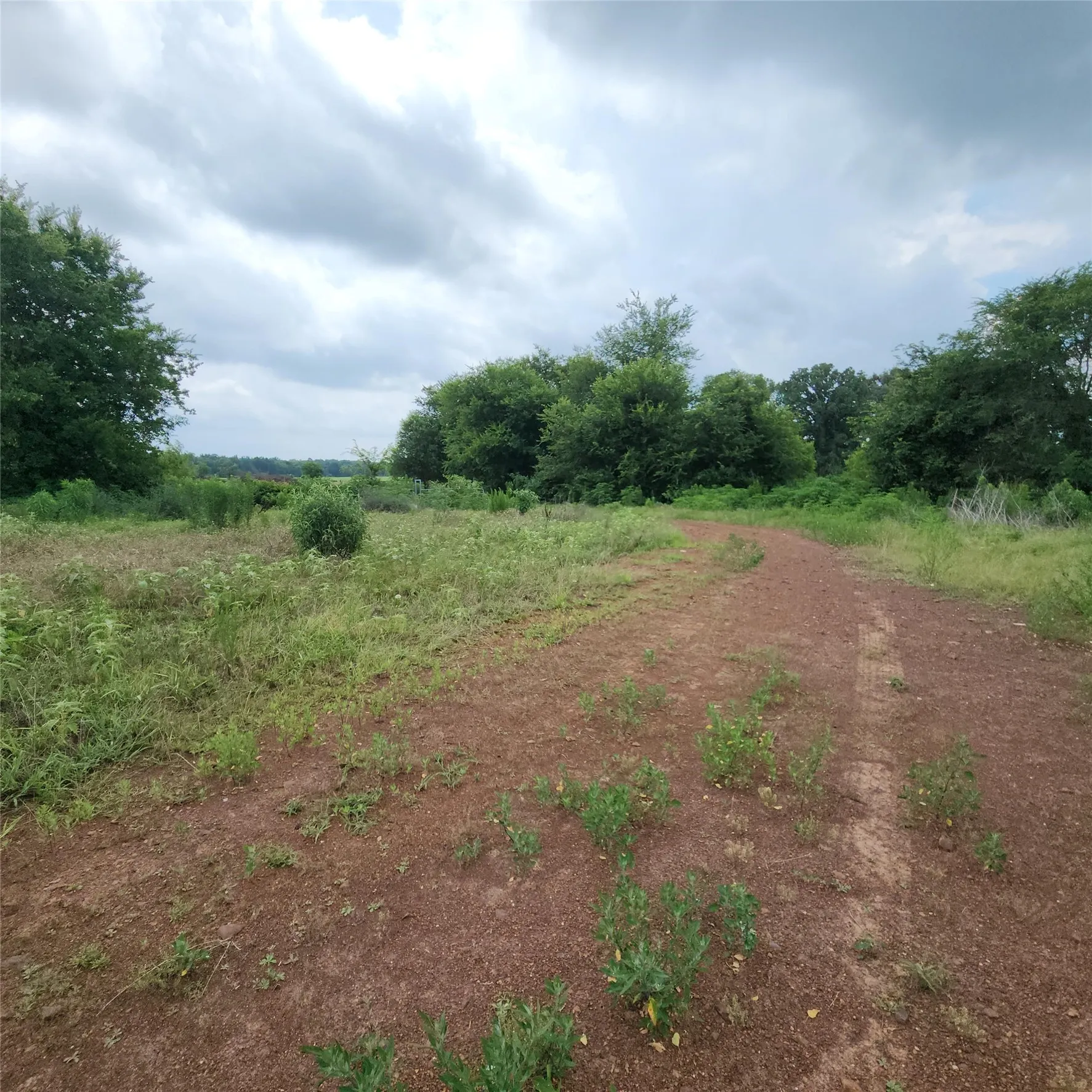 Improved Land For Sale in Upshur County , 6705 Fox Road, Gilmer, Texas 75644, 0, 0, Garage spaces, 0 Sqft, built in 0, mls#21329258, Real Estate Agent in Gilmer, Homes For Sale in Upshur county, Homes For Sale in Gilmer, Realtor in Gilmer Texas, Real Estate Brokerage Independent Realty Texas, Luminita Cordes Realtor