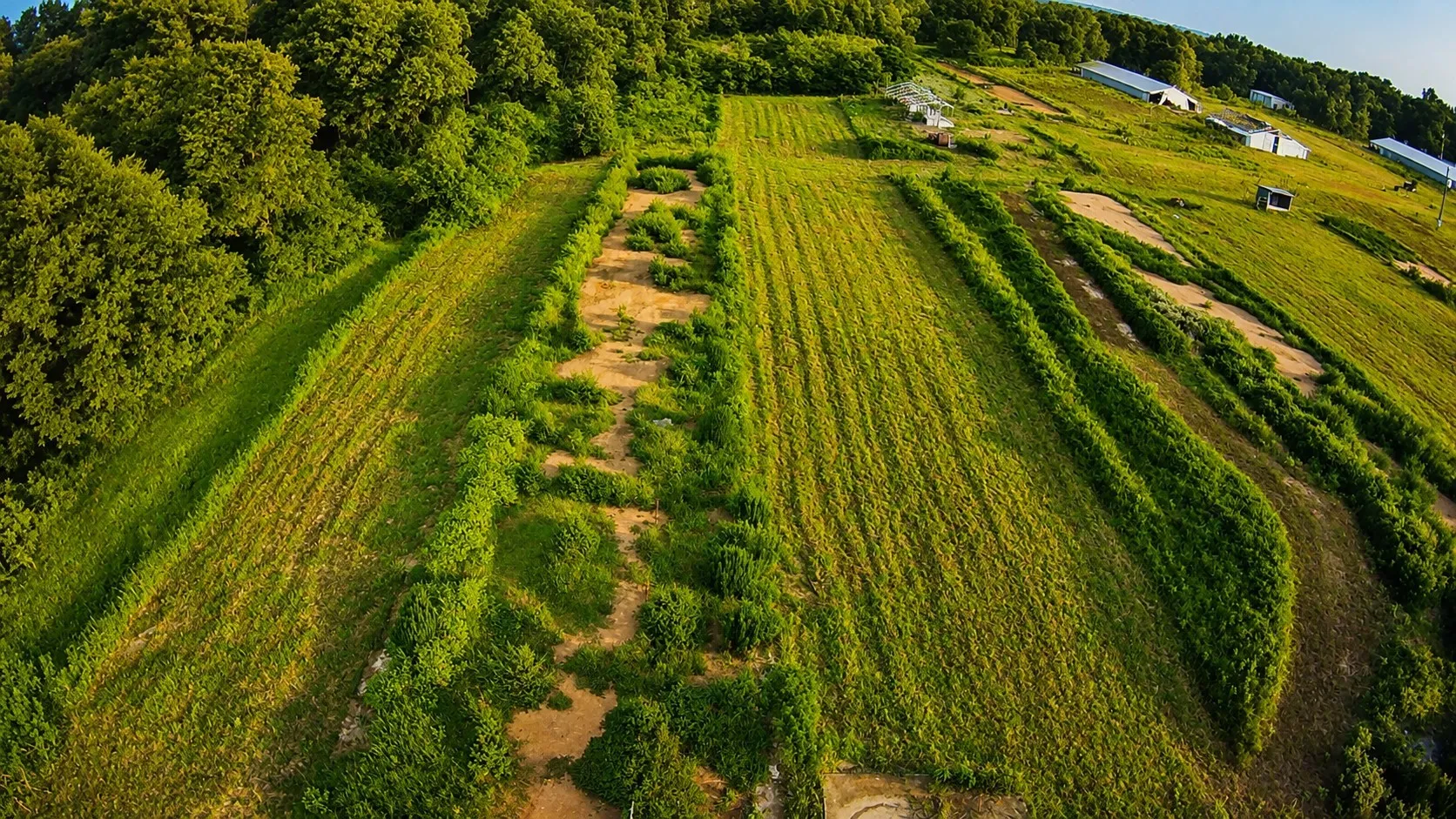 Former poultry farm remnants still remain, but the water well and electricity will save you money as you site prep for your future use.