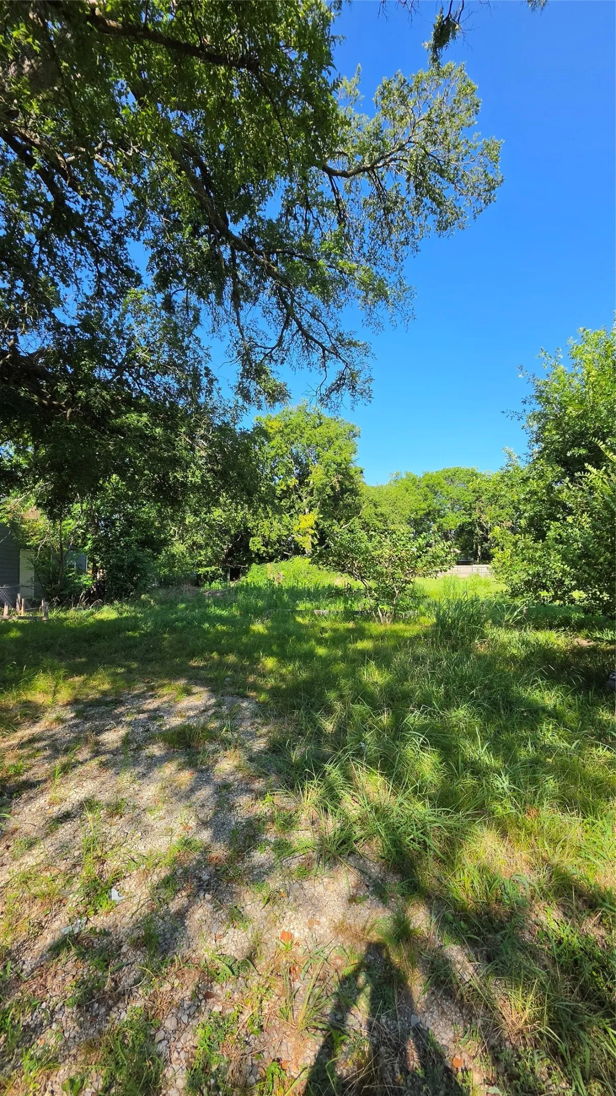 Unimproved Land For Sale in Grayson County , 2118 S Branch Street, Sherman, Texas 75090, 0, 0, Garage spaces, 0 Sqft, built in 0, mls#21329348, Real Estate Agent in Sherman, Homes For Sale in Grayson county, Homes For Sale in Sherman, Realtor in Sherman Texas, Real Estate Brokerage Independent Realty Texas, Luminita Cordes Realtor