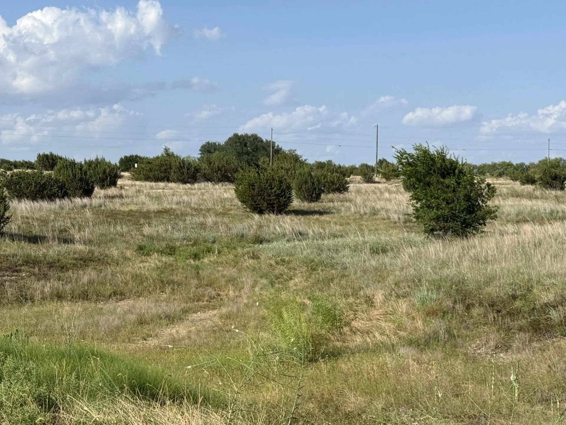 Unimproved Land For Sale in Hood County , 706 Rory Crossing, Lipan, Texas 76462, 0, 0, Garage spaces, 0 Sqft, built in 0, mls#21329382, Real Estate Agent in Lipan, Homes For Sale in Hood county, Homes For Sale in Lipan, Realtor in Lipan Texas, Real Estate Brokerage Independent Realty Texas, Luminita Cordes Realtor