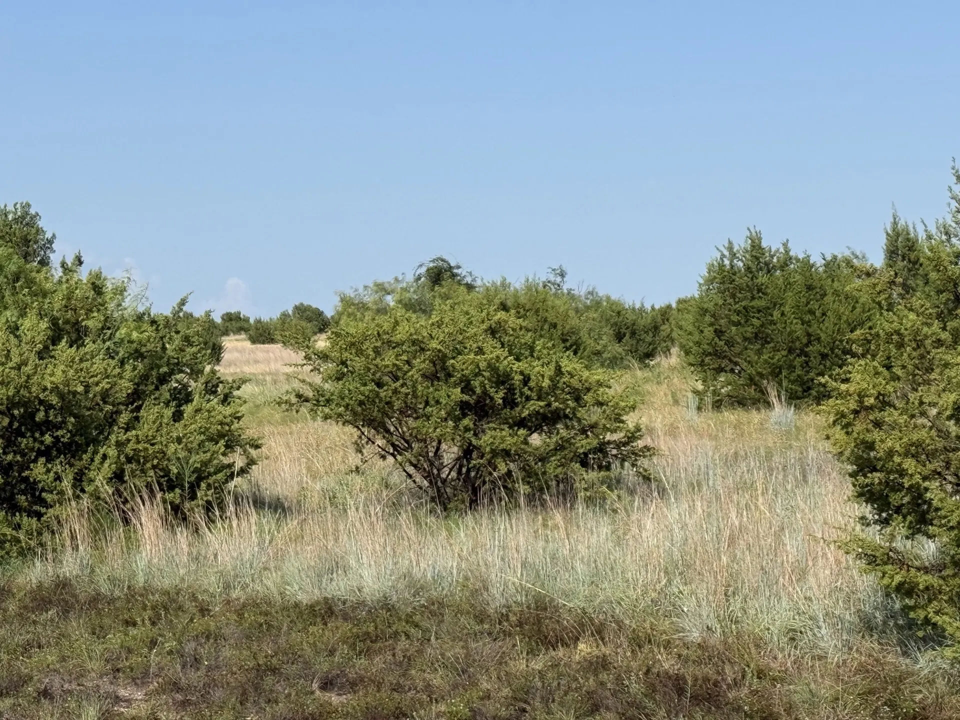 Unimproved Land For Sale in Hood County , 706 Rory Crossing, Lipan, Texas 76462, 0, 0, Garage spaces, 0 Sqft, built in 0, mls#21329382, Real Estate Agent in Lipan, Homes For Sale in Hood county, Homes For Sale in Lipan, Realtor in Lipan Texas, Real Estate Brokerage Independent Realty Texas, Luminita Cordes Realtor