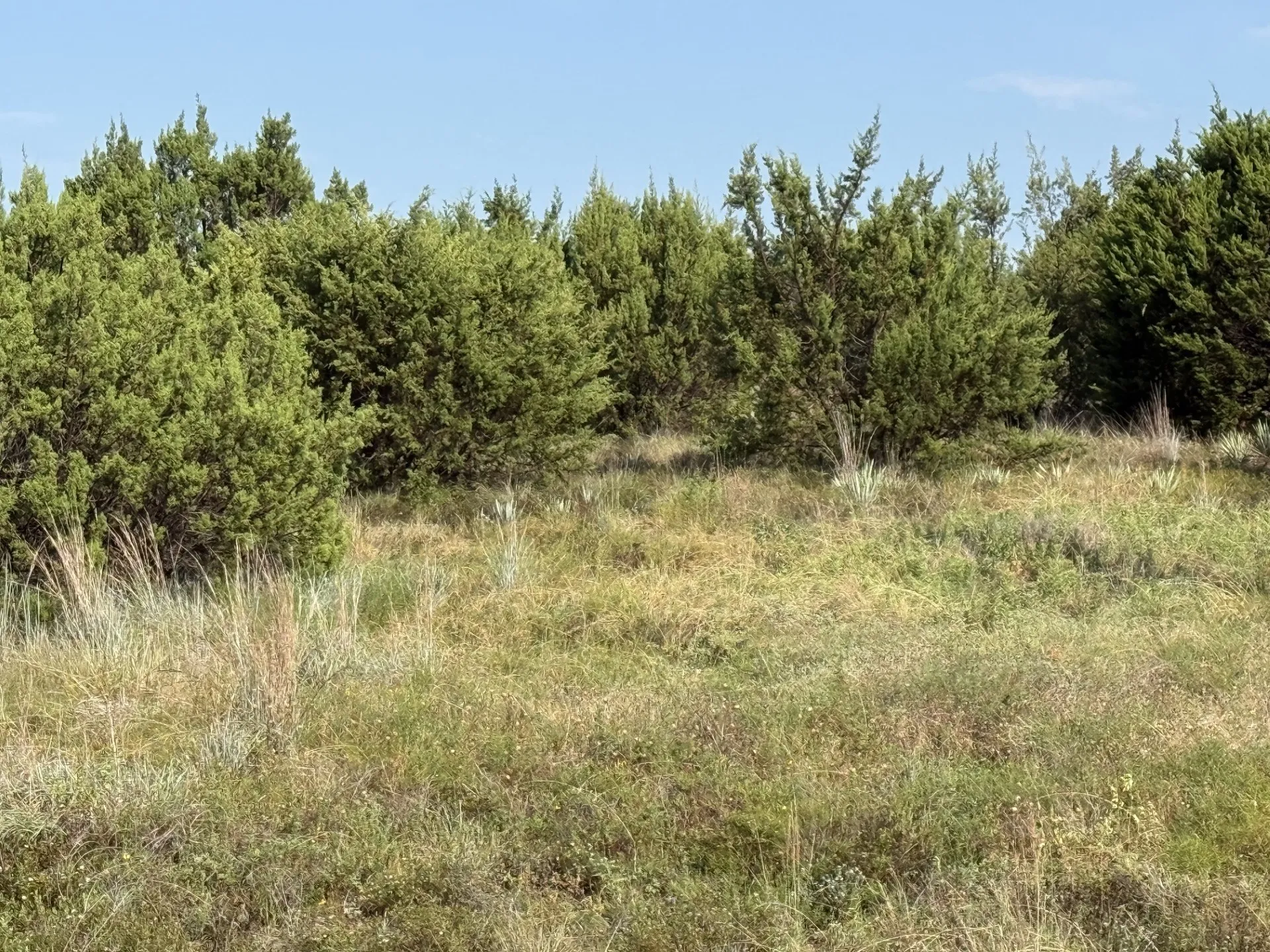 Unimproved Land For Sale in Hood County , 706 Rory Crossing, Lipan, Texas 76462, 0, 0, Garage spaces, 0 Sqft, built in 0, mls#21329382, Real Estate Agent in Lipan, Homes For Sale in Hood county, Homes For Sale in Lipan, Realtor in Lipan Texas, Real Estate Brokerage Independent Realty Texas, Luminita Cordes Realtor