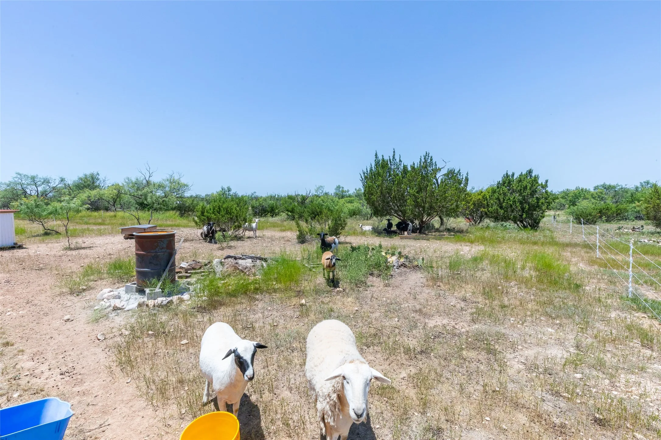 Single Family Residence For Sale in Taylor County , 132 Anderson Road, Wingate, Texas 79566, 1 Bedroom, 1 Bathroom, 2 Garage spaces, 880 Sqft, built in 2023, mls#21326786, Real Estate Agent in Wingate, Homes For Sale in Taylor county, Homes For Sale in Wingate, Realtor in Wingate Texas, Real Estate Brokerage Independent Realty Texas, Luminita Cordes Realtor