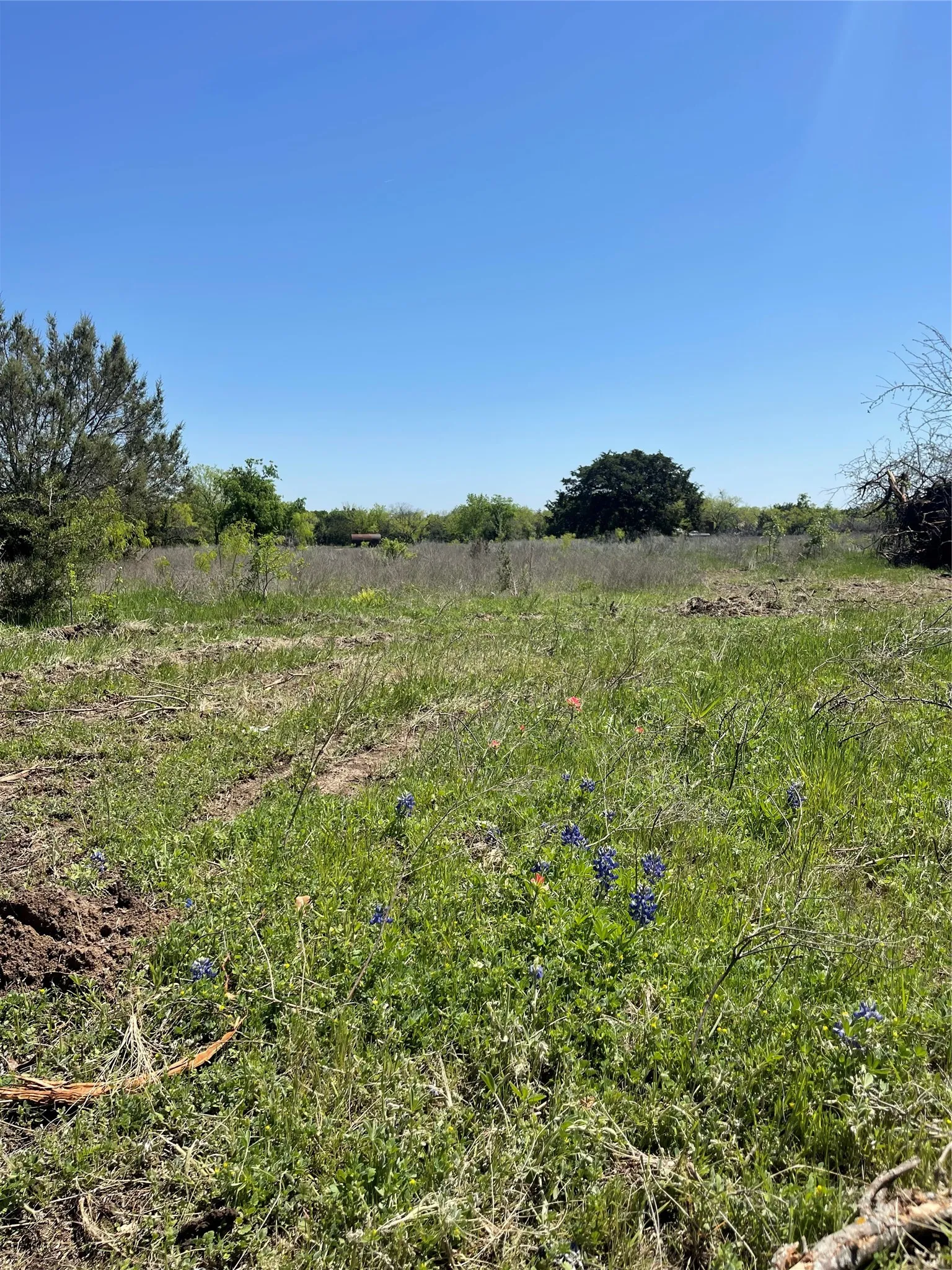 Unimproved Land For Sale in Bosque County , TBD 10 Broadway Street, Meridian, Texas 76665, 0, 0, Garage spaces, 0 Sqft, built in 0, Price $50,000, mls#21318141, Real Estate Agent in Meridian, Homes For Sale in Bosque county, Homes For Sale in Meridian, Realtor in Meridian Texas, Real Estate Brokerage Independent Realty Texas, Luminita Cordes Realtor