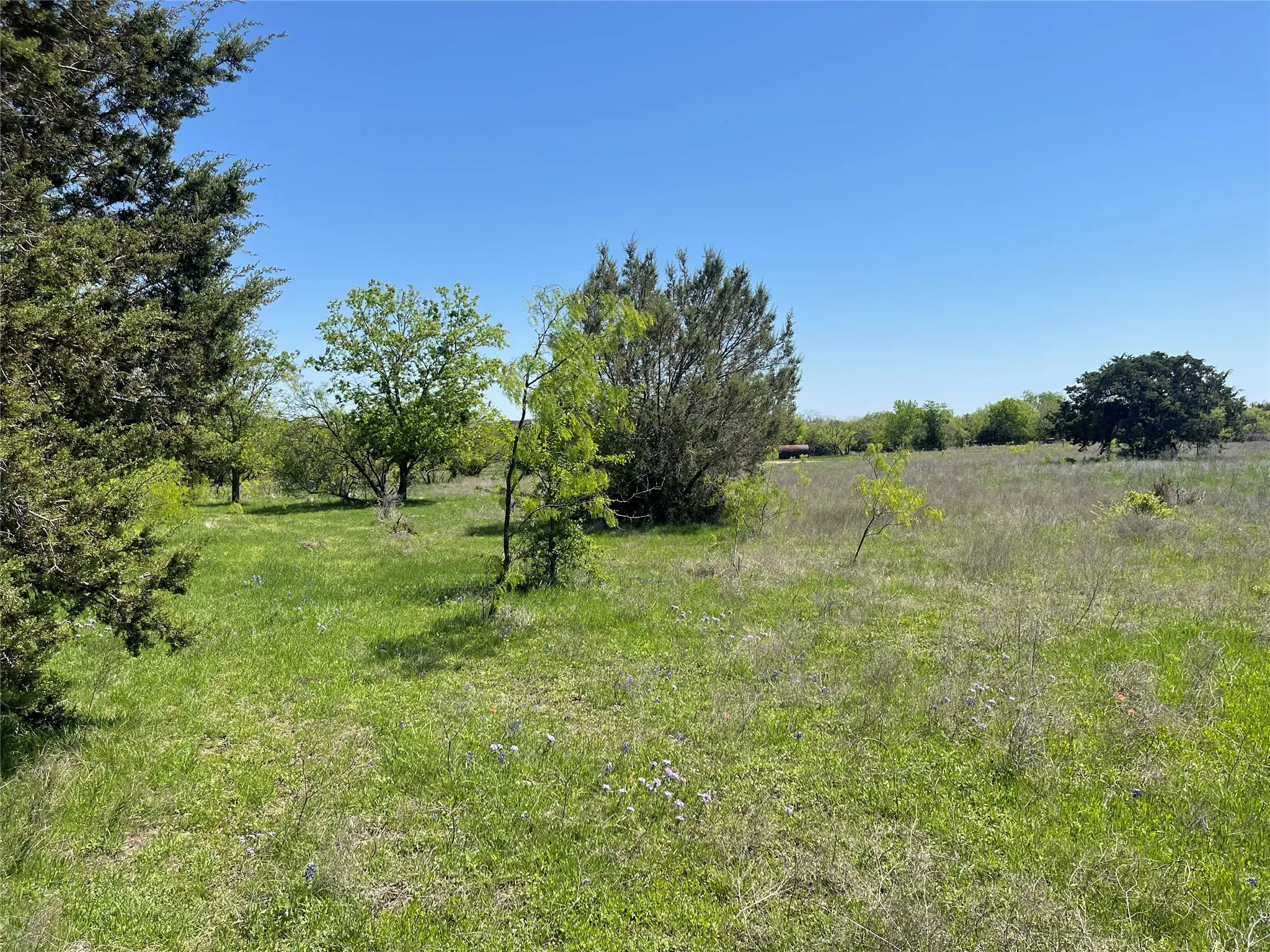 Unimproved Land For Sale in Bosque County , TBD 10 Broadway Street, Meridian, Texas 76665, 0, 0, Garage spaces, 0 Sqft, built in 0, Price $50,000, mls#21318141, Real Estate Agent in Meridian, Homes For Sale in Bosque county, Homes For Sale in Meridian, Realtor in Meridian Texas, Real Estate Brokerage Independent Realty Texas, Luminita Cordes Realtor