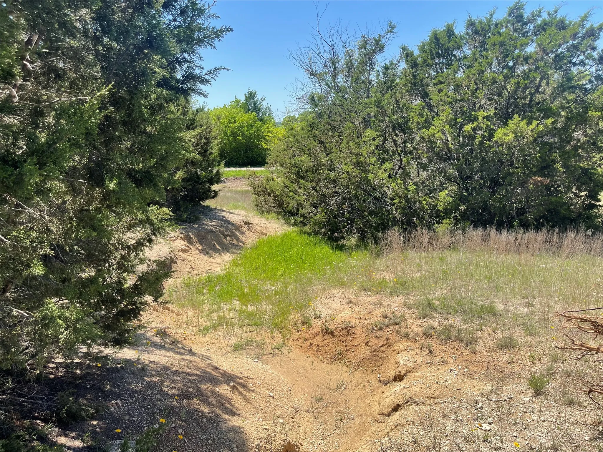 Unimproved Land For Sale in Bosque County , TBD 3 E Lumpkin Street, Meridian, Texas 76665, 0, 0, Garage spaces, 0 Sqft, built in 0, mls#21318275, Real Estate Agent in Meridian, Homes For Sale in Bosque county, Homes For Sale in Meridian, Realtor in Meridian Texas, Real Estate Brokerage Independent Realty Texas, Luminita Cordes Realtor