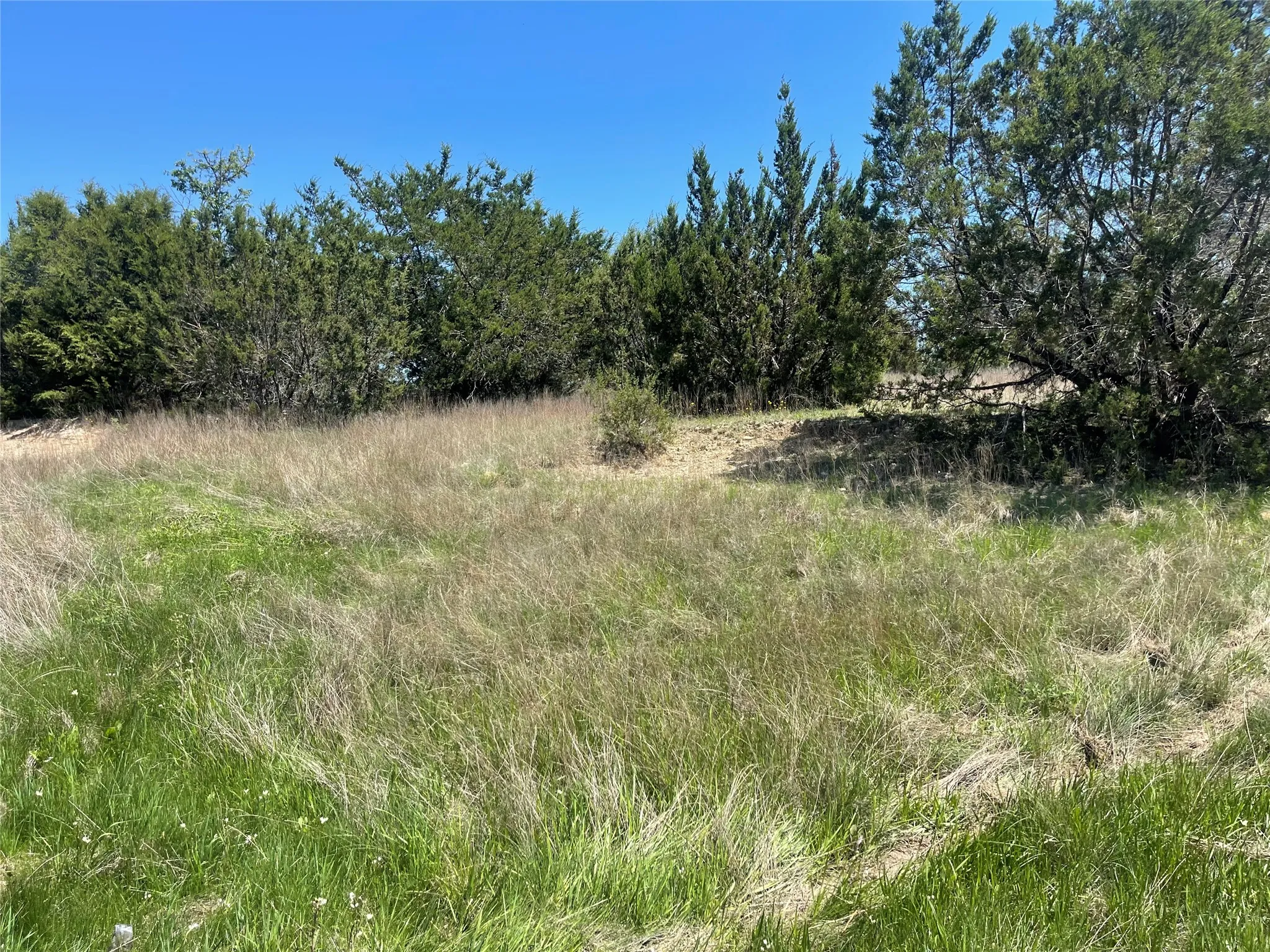 Unimproved Land For Sale in Bosque County , TBD 3 E Lumpkin Street, Meridian, Texas 76665, 0, 0, Garage spaces, 0 Sqft, built in 0, mls#21318275, Real Estate Agent in Meridian, Homes For Sale in Bosque county, Homes For Sale in Meridian, Realtor in Meridian Texas, Real Estate Brokerage Independent Realty Texas, Luminita Cordes Realtor