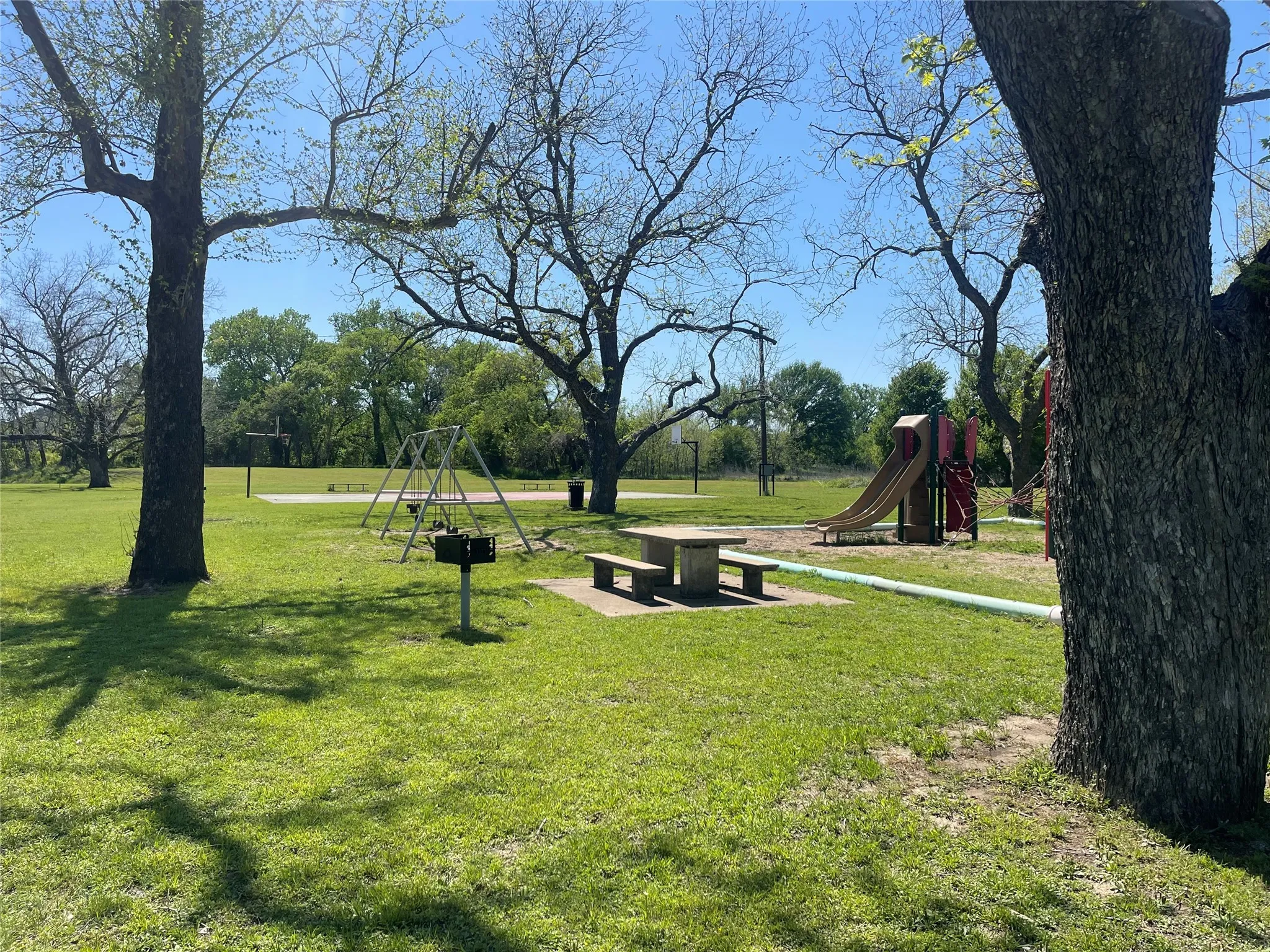 Community Park