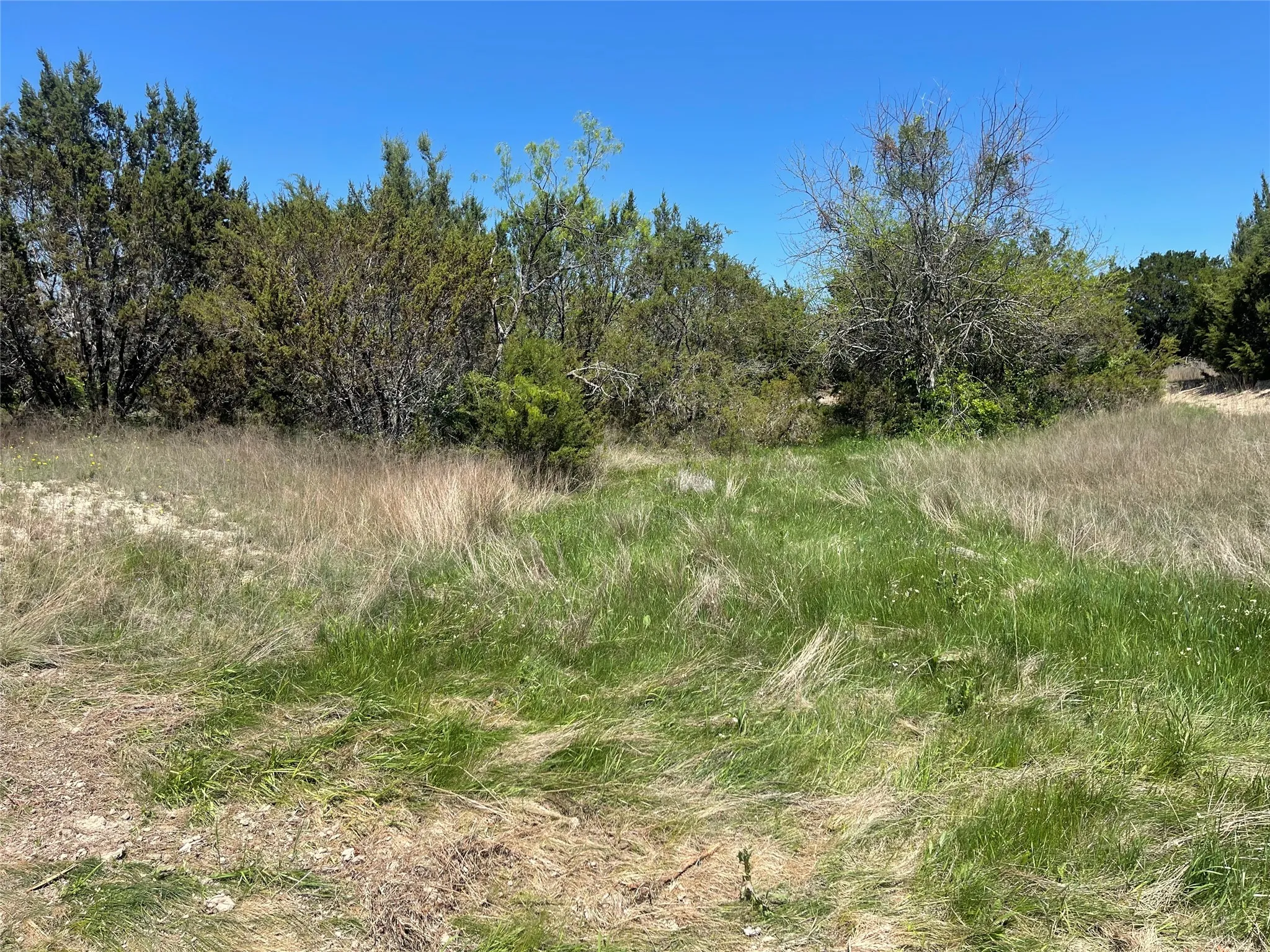 Unimproved Land For Sale in Bosque County , TBD 3 E Lumpkin Street, Meridian, Texas 76665, 0, 0, Garage spaces, 0 Sqft, built in 0, mls#21318275, Real Estate Agent in Meridian, Homes For Sale in Bosque county, Homes For Sale in Meridian, Realtor in Meridian Texas, Real Estate Brokerage Independent Realty Texas, Luminita Cordes Realtor