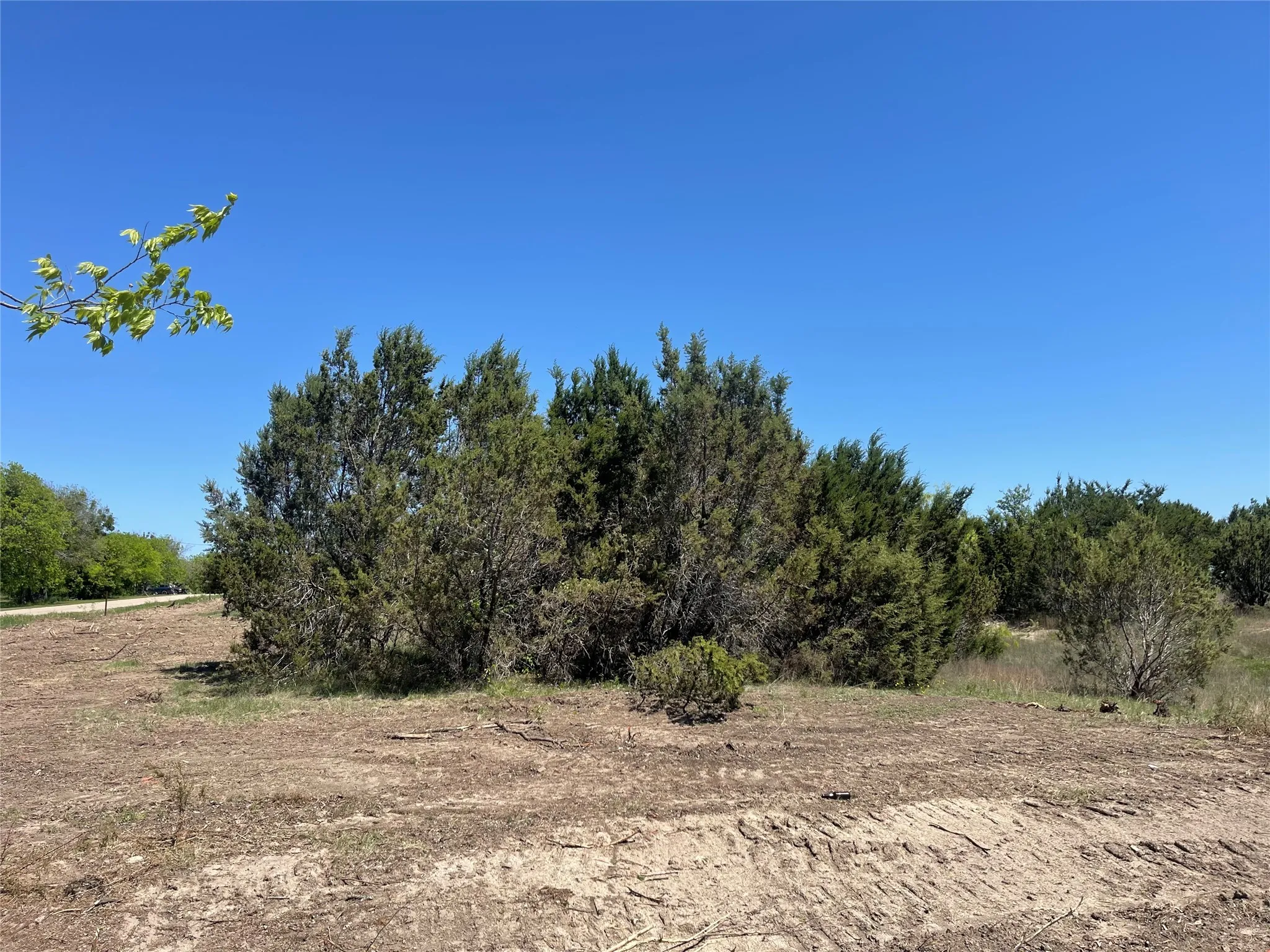 Unimproved Land For Sale in Bosque County , TBD 3 E Lumpkin Street, Meridian, Texas 76665, 0, 0, Garage spaces, 0 Sqft, built in 0, mls#21318275, Real Estate Agent in Meridian, Homes For Sale in Bosque county, Homes For Sale in Meridian, Realtor in Meridian Texas, Real Estate Brokerage Independent Realty Texas, Luminita Cordes Realtor