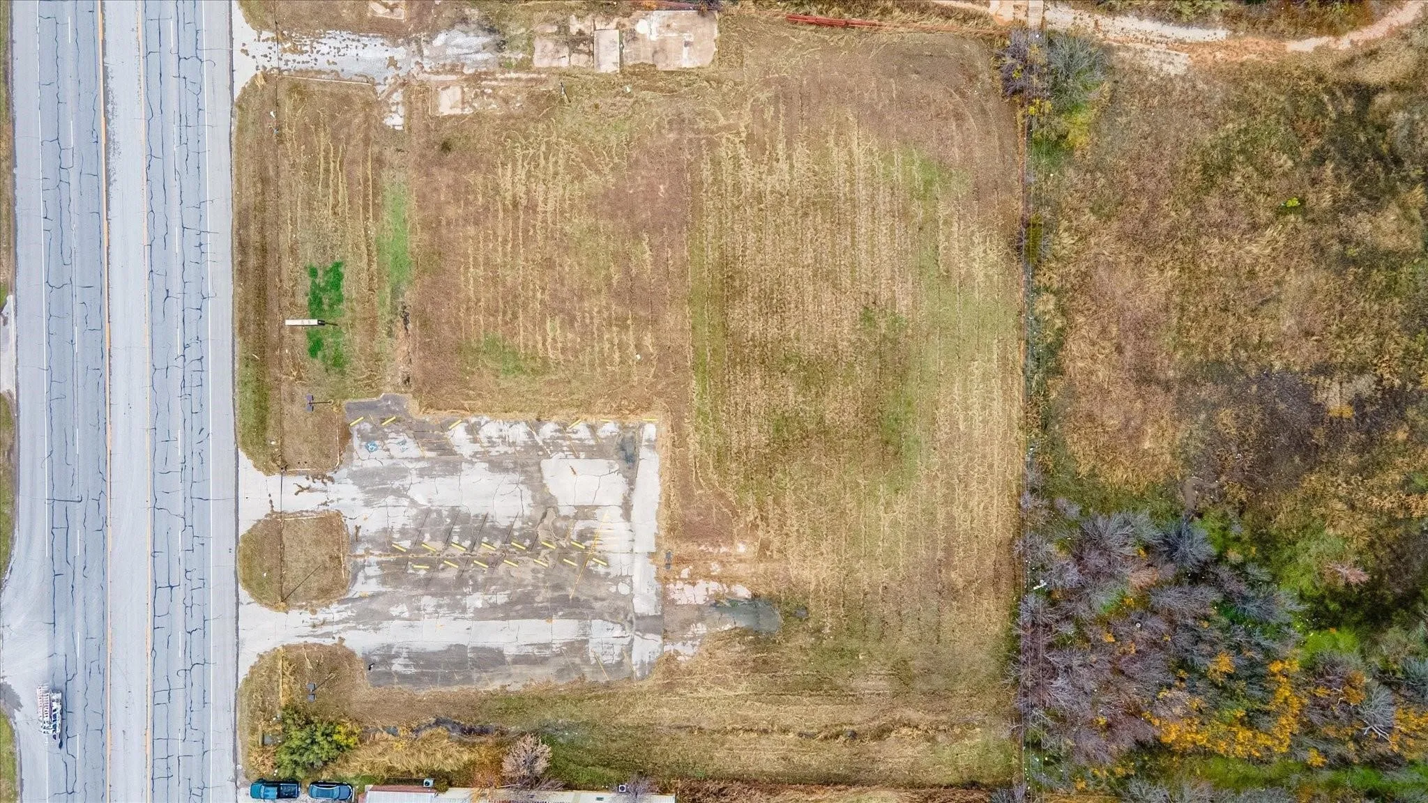 Expansive land parcel featuring a section of mature trees, a clear undeveloped field, and a paved road frontage