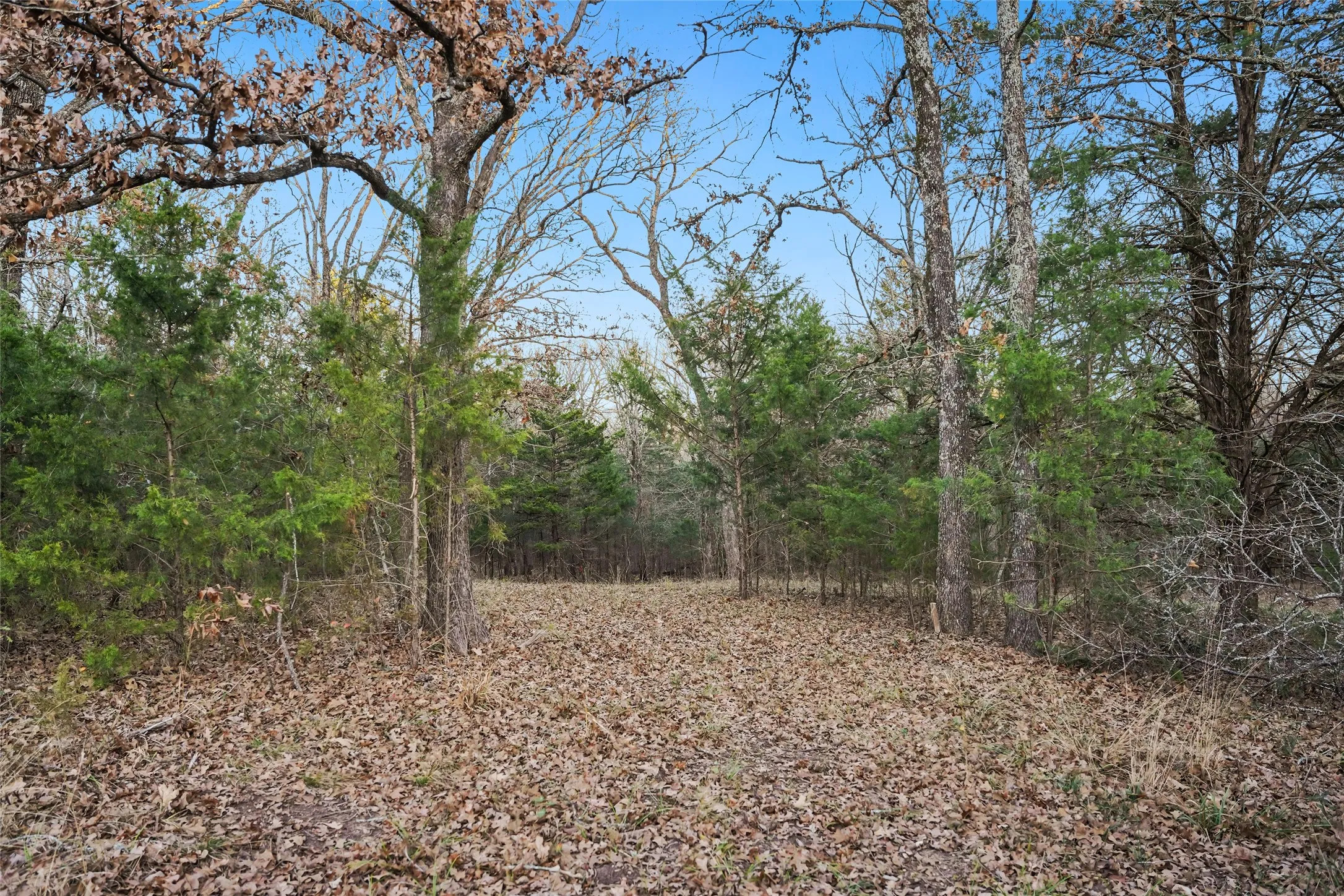 Unimproved Land For Sale in Rains County , 344 RS County Road 4254, Point, Texas 75472, 0, 0, Garage spaces, 0 Sqft, built in 0, mls#21328897, Real Estate Agent in Point, Homes For Sale in Rains county, Homes For Sale in Point, Realtor in Point Texas, Real Estate Brokerage Independent Realty Texas, Luminita Cordes Realtor