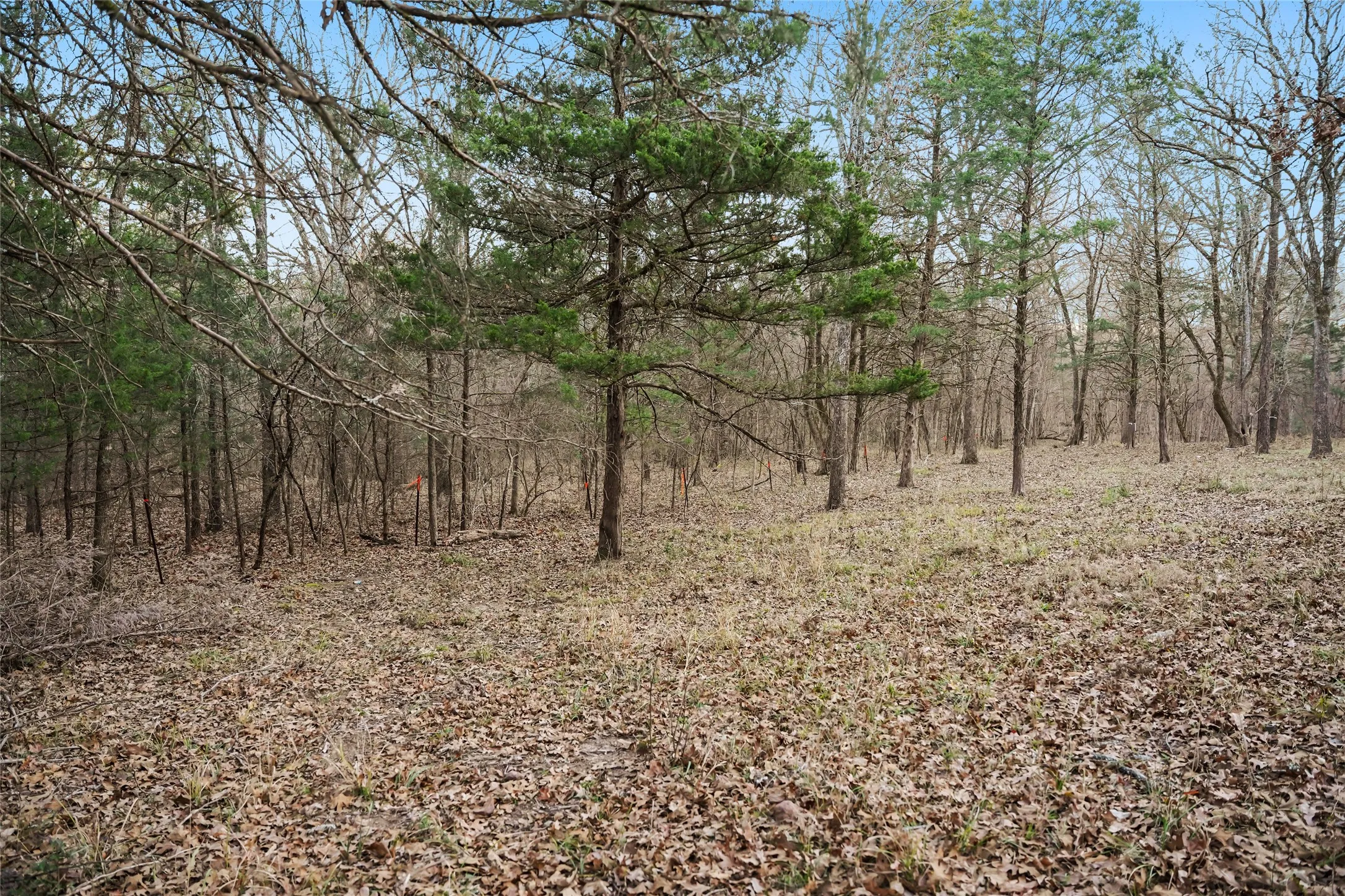 Unimproved Land For Sale in Rains County , 344 RS County Road 4254, Point, Texas 75472, 0, 0, Garage spaces, 0 Sqft, built in 0, mls#21328897, Real Estate Agent in Point, Homes For Sale in Rains county, Homes For Sale in Point, Realtor in Point Texas, Real Estate Brokerage Independent Realty Texas, Luminita Cordes Realtor