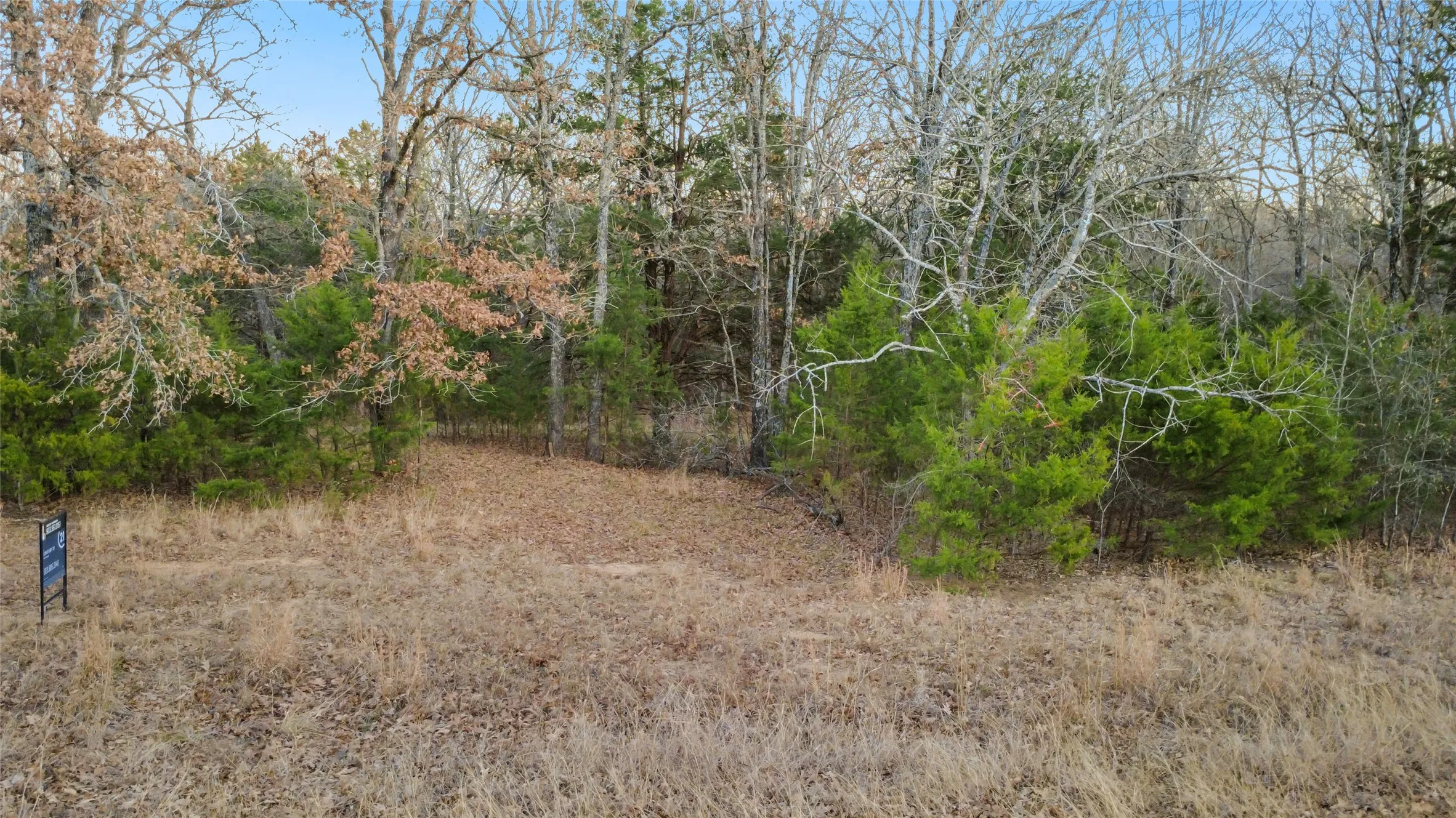 Unimproved Land For Sale in Rains County , 344 RS County Road 4254, Point, Texas 75472, 0, 0, Garage spaces, 0 Sqft, built in 0, mls#21328897, Real Estate Agent in Point, Homes For Sale in Rains county, Homes For Sale in Point, Realtor in Point Texas, Real Estate Brokerage Independent Realty Texas, Luminita Cordes Realtor
