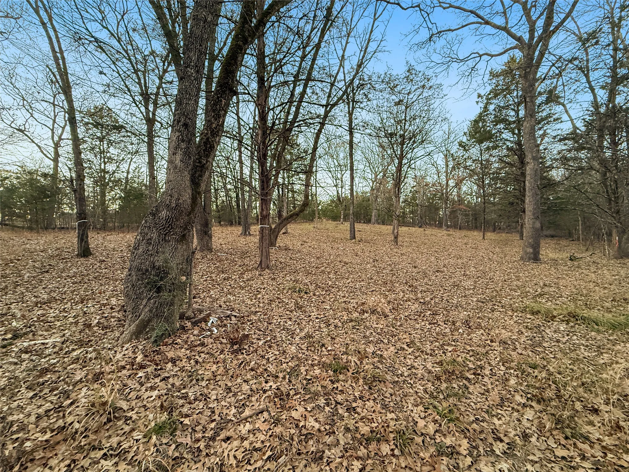 Unimproved Land For Sale in Rains County , 344 RS County Road 4254, Point, Texas 75472, 0, 0, Garage spaces, 0 Sqft, built in 0, mls#21328897, Real Estate Agent in Point, Homes For Sale in Rains county, Homes For Sale in Point, Realtor in Point Texas, Real Estate Brokerage Independent Realty Texas, Luminita Cordes Realtor
