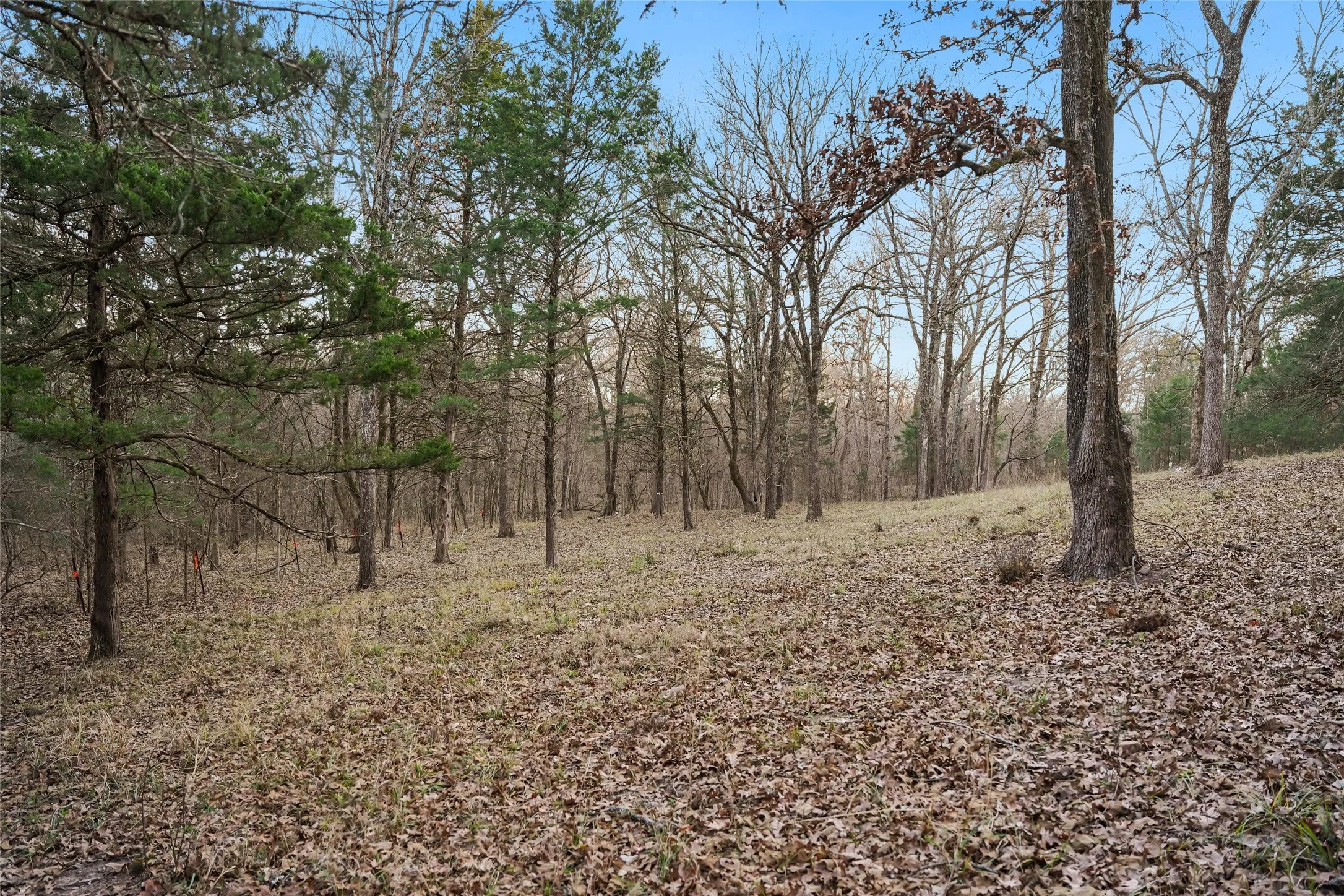 Unimproved Land For Sale in Rains County , 344 RS County Road 4254, Point, Texas 75472, 0, 0, Garage spaces, 0 Sqft, built in 0, mls#21328897, Real Estate Agent in Point, Homes For Sale in Rains county, Homes For Sale in Point, Realtor in Point Texas, Real Estate Brokerage Independent Realty Texas, Luminita Cordes Realtor