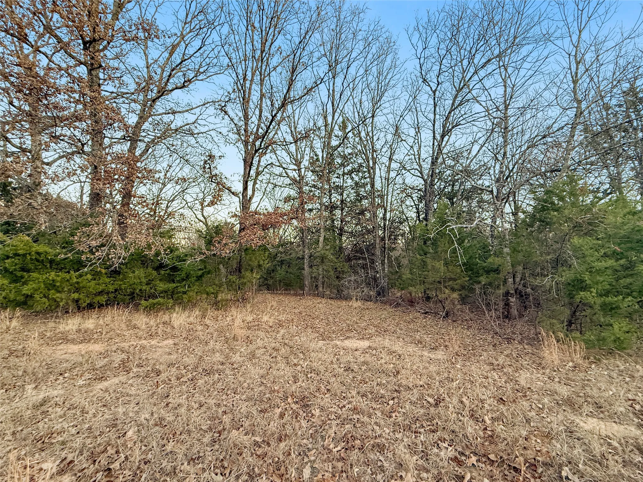 Unimproved Land For Sale in Rains County , 344 RS County Road 4254, Point, Texas 75472, 0, 0, Garage spaces, 0 Sqft, built in 0, mls#21328897, Real Estate Agent in Point, Homes For Sale in Rains county, Homes For Sale in Point, Realtor in Point Texas, Real Estate Brokerage Independent Realty Texas, Luminita Cordes Realtor