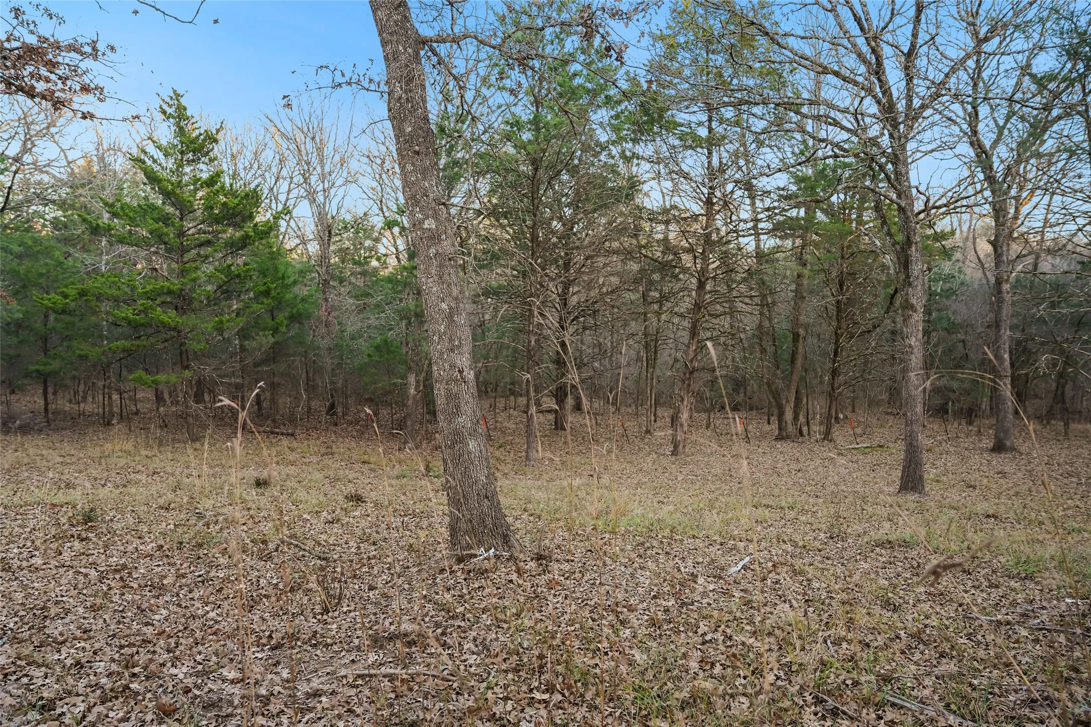 Unimproved Land For Sale in Rains County , 344 RS County Road 4254, Point, Texas 75472, 0, 0, Garage spaces, 0 Sqft, built in 0, mls#21328897, Real Estate Agent in Point, Homes For Sale in Rains county, Homes For Sale in Point, Realtor in Point Texas, Real Estate Brokerage Independent Realty Texas, Luminita Cordes Realtor