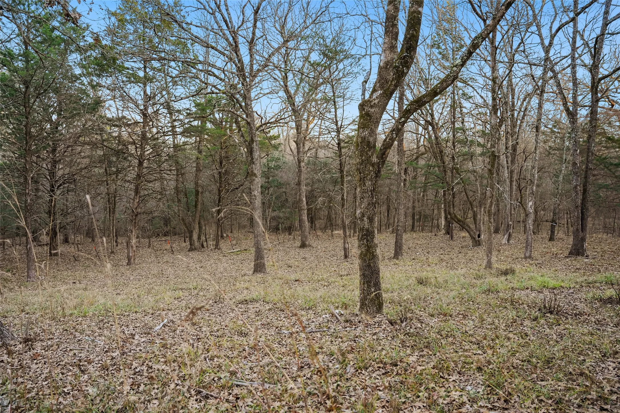 Unimproved Land For Sale in Rains County , 344 RS County Road 4254, Point, Texas 75472, 0, 0, Garage spaces, 0 Sqft, built in 0, mls#21328897, Real Estate Agent in Point, Homes For Sale in Rains county, Homes For Sale in Point, Realtor in Point Texas, Real Estate Brokerage Independent Realty Texas, Luminita Cordes Realtor