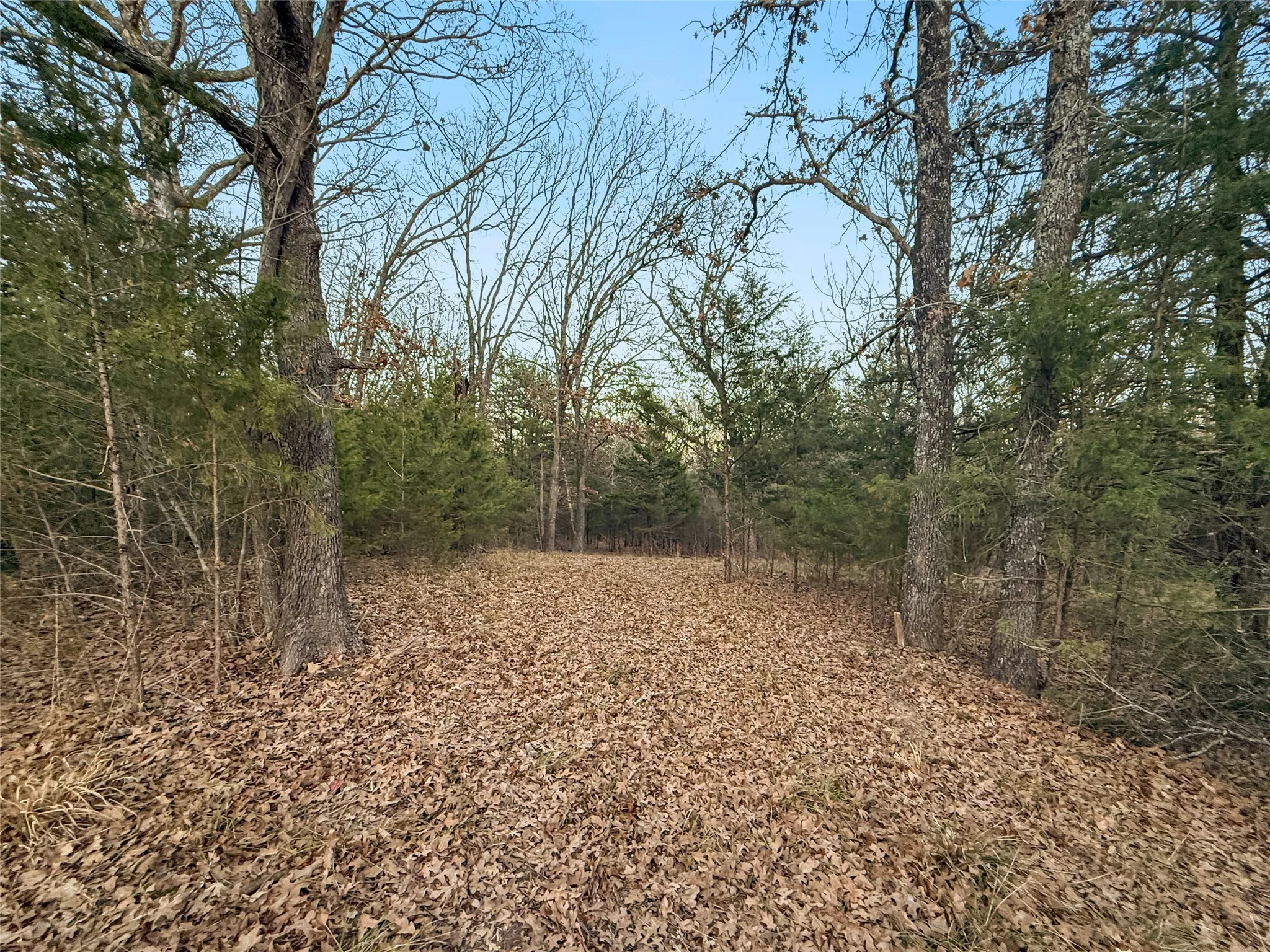 Unimproved Land For Sale in Rains County , 344 RS County Road 4254, Point, Texas 75472, 0, 0, Garage spaces, 0 Sqft, built in 0, mls#21328897, Real Estate Agent in Point, Homes For Sale in Rains county, Homes For Sale in Point, Realtor in Point Texas, Real Estate Brokerage Independent Realty Texas, Luminita Cordes Realtor