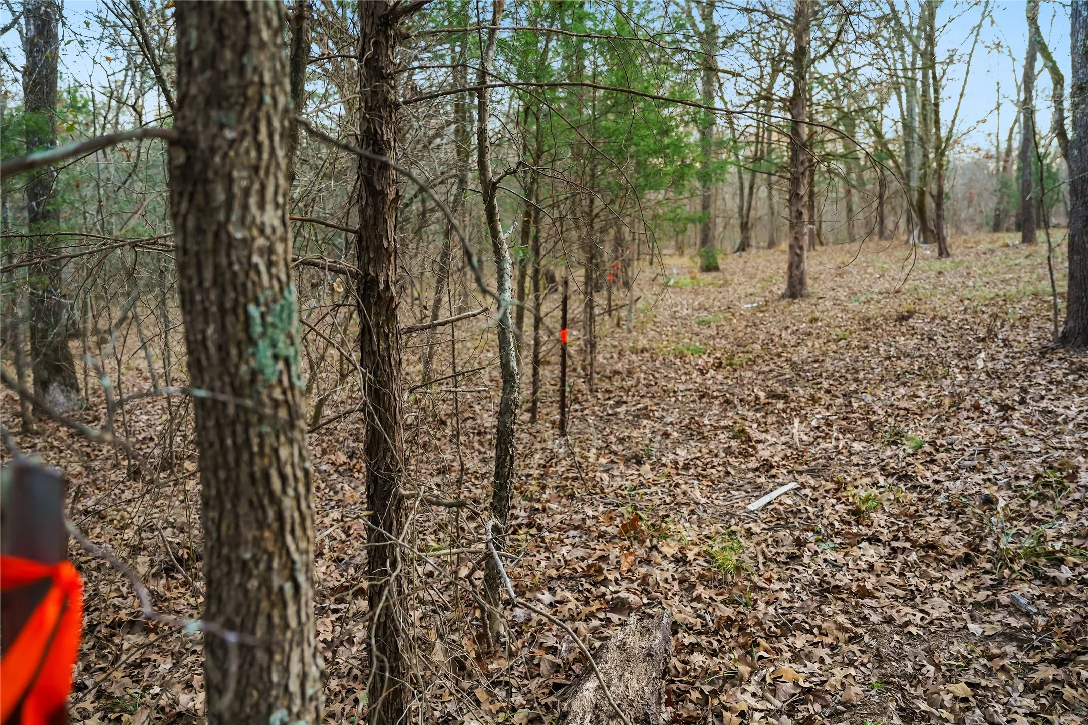 Unimproved Land For Sale in Rains County , 344 RS County Road 4254, Point, Texas 75472, 0, 0, Garage spaces, 0 Sqft, built in 0, mls#21328897, Real Estate Agent in Point, Homes For Sale in Rains county, Homes For Sale in Point, Realtor in Point Texas, Real Estate Brokerage Independent Realty Texas, Luminita Cordes Realtor