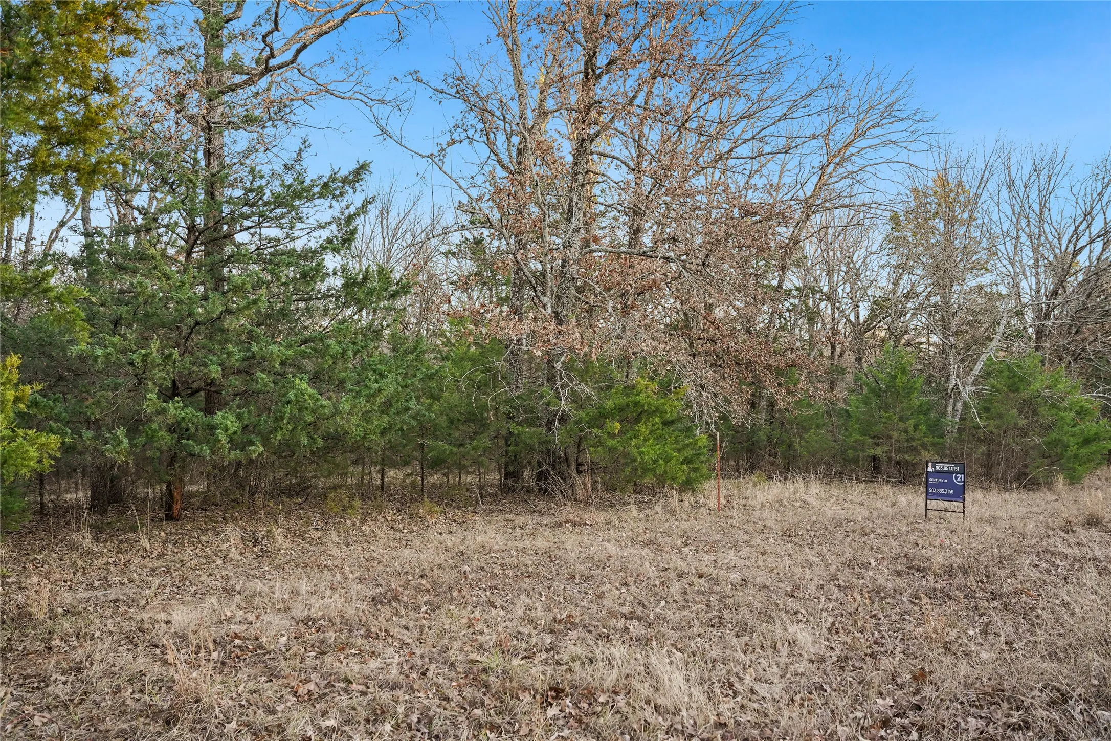 Unimproved Land For Sale in Rains County , 344 RS County Road 4254, Point, Texas 75472, 0, 0, Garage spaces, 0 Sqft, built in 0, mls#21328897, Real Estate Agent in Point, Homes For Sale in Rains county, Homes For Sale in Point, Realtor in Point Texas, Real Estate Brokerage Independent Realty Texas, Luminita Cordes Realtor