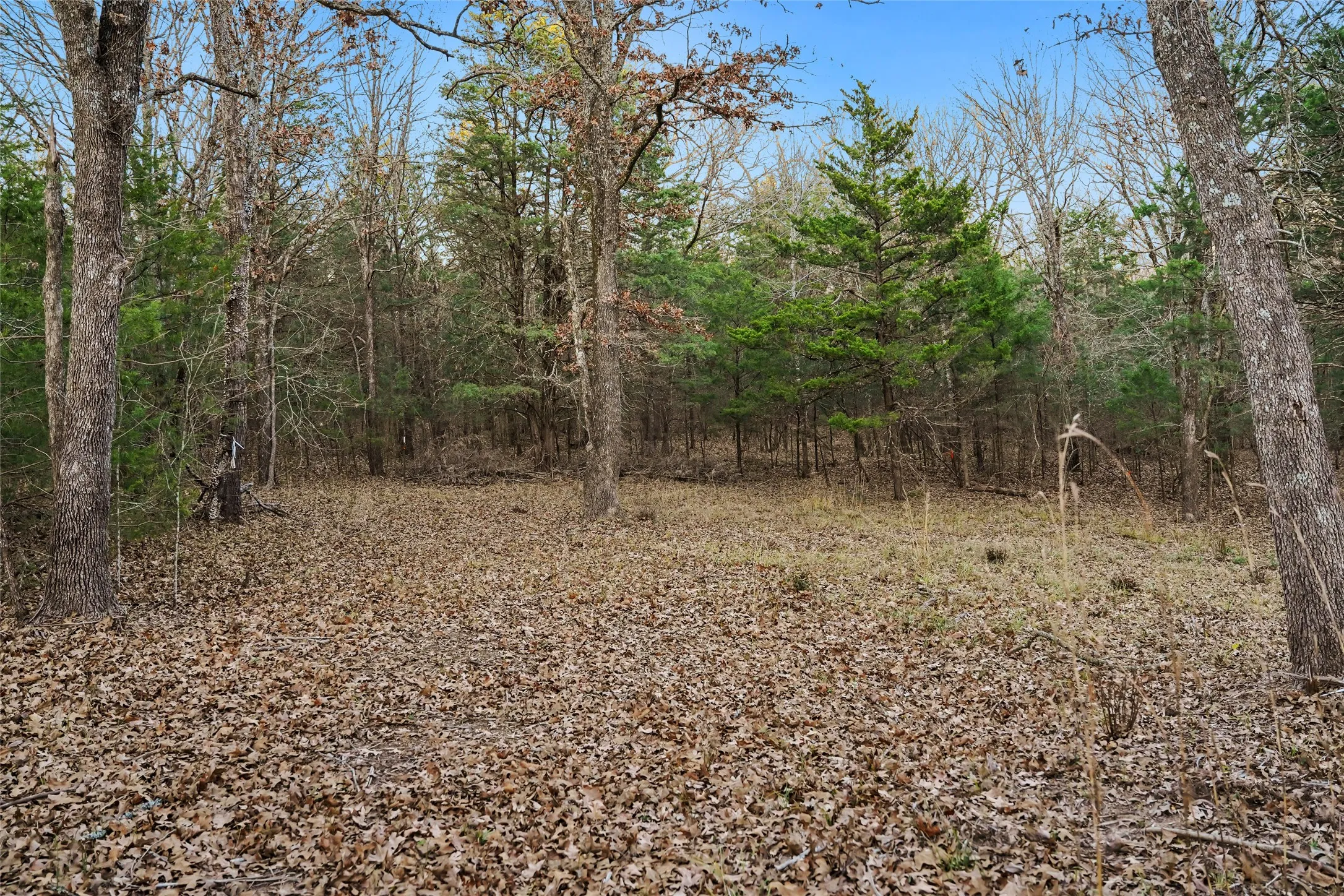 Unimproved Land For Sale in Rains County , 344 RS County Road 4254, Point, Texas 75472, 0, 0, Garage spaces, 0 Sqft, built in 0, mls#21328897, Real Estate Agent in Point, Homes For Sale in Rains county, Homes For Sale in Point, Realtor in Point Texas, Real Estate Brokerage Independent Realty Texas, Luminita Cordes Realtor