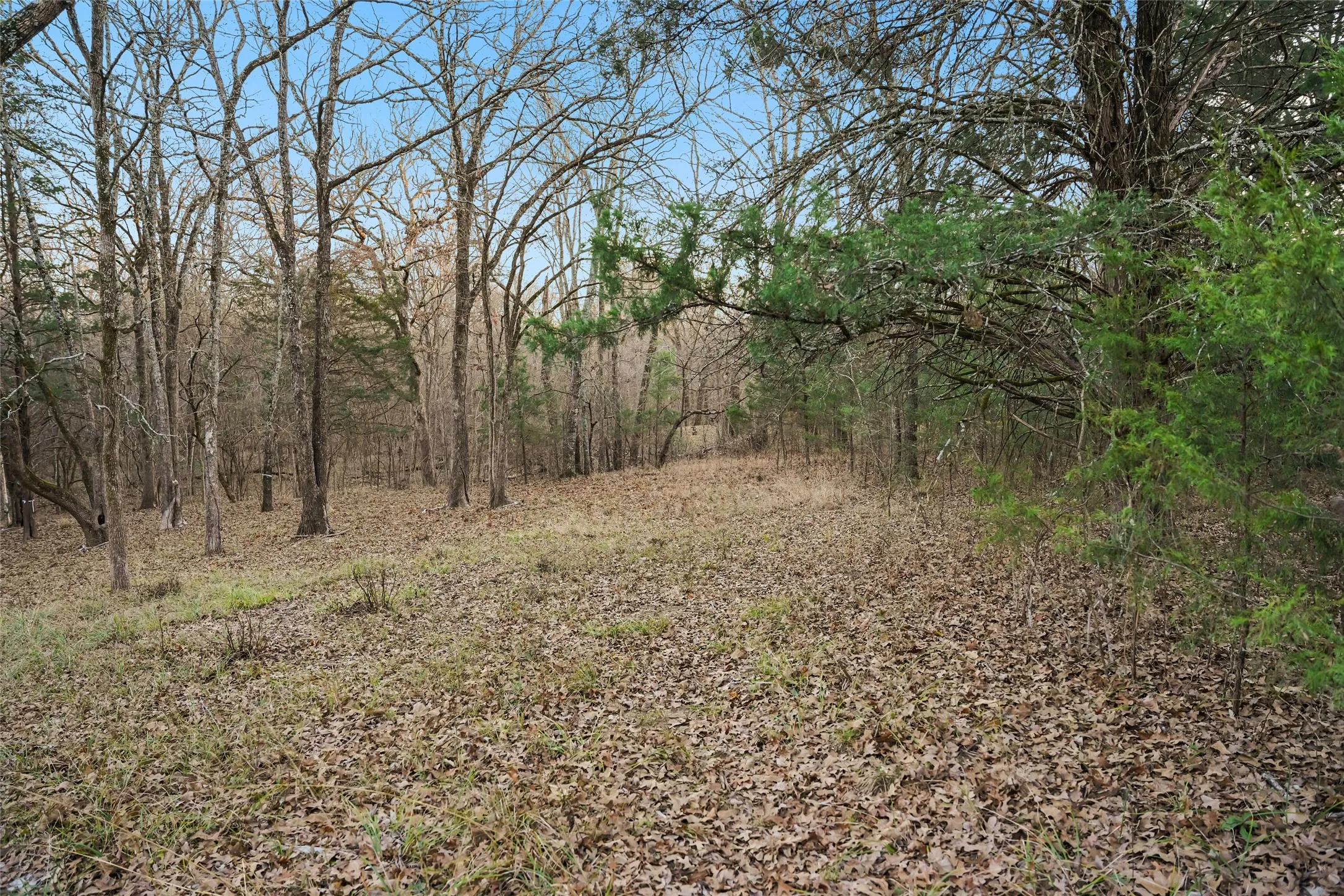 Unimproved Land For Sale in Rains County , 344 RS County Road 4254, Point, Texas 75472, 0, 0, Garage spaces, 0 Sqft, built in 0, mls#21328897, Real Estate Agent in Point, Homes For Sale in Rains county, Homes For Sale in Point, Realtor in Point Texas, Real Estate Brokerage Independent Realty Texas, Luminita Cordes Realtor