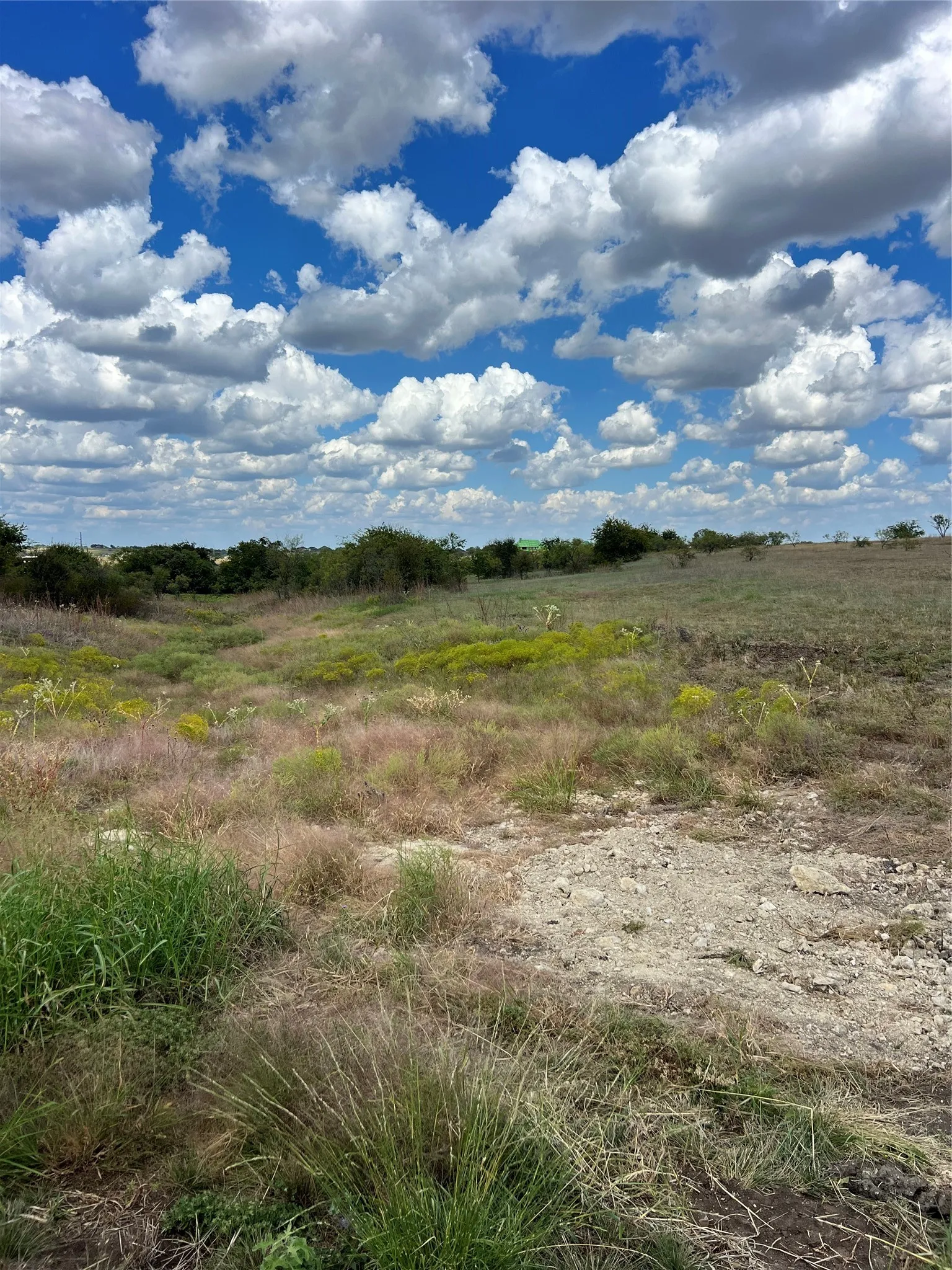 Unimproved Land For Sale in Parker County , 4076 Grizzly Trail, Aledo, Texas 76008, 0, 0, Garage spaces, 0 Sqft, built in 0, mls#21329432, Real Estate Agent in Aledo, Homes For Sale in Parker county, Homes For Sale in Aledo, Realtor in Aledo Texas, Real Estate Brokerage Independent Realty Texas, Luminita Cordes Realtor