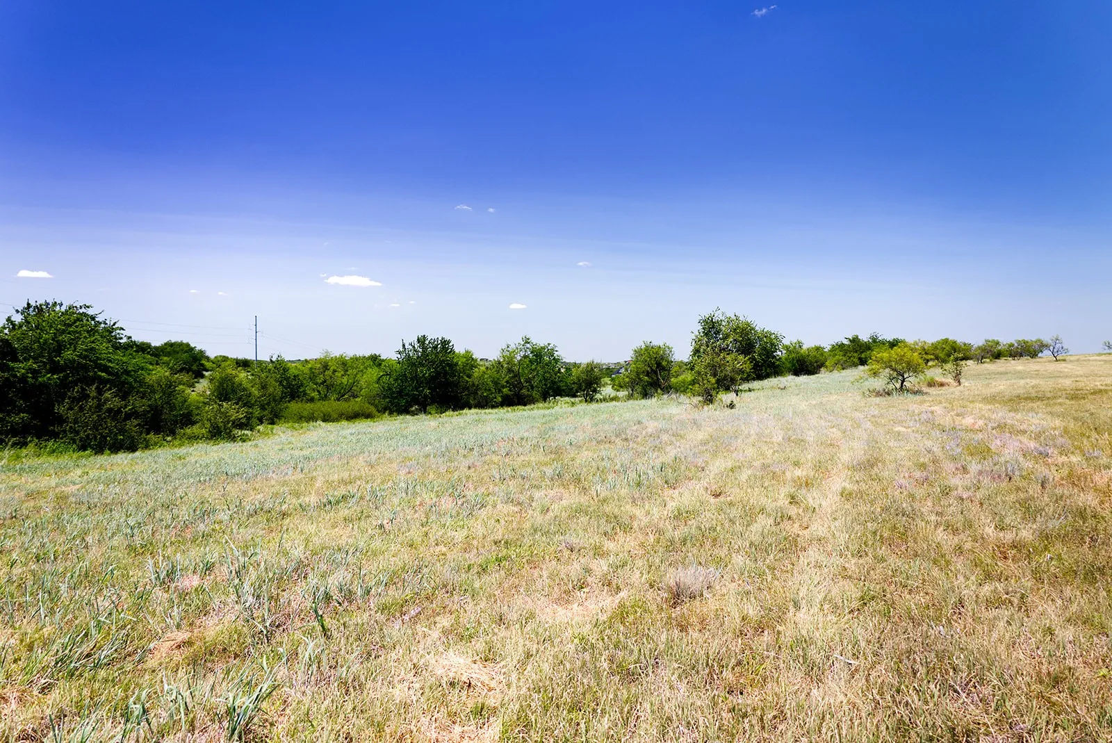 Unimproved Land For Sale in Parker County , 4076 Grizzly Trail, Aledo, Texas 76008, 0, 0, Garage spaces, 0 Sqft, built in 0, mls#21329432, Real Estate Agent in Aledo, Homes For Sale in Parker county, Homes For Sale in Aledo, Realtor in Aledo Texas, Real Estate Brokerage Independent Realty Texas, Luminita Cordes Realtor
