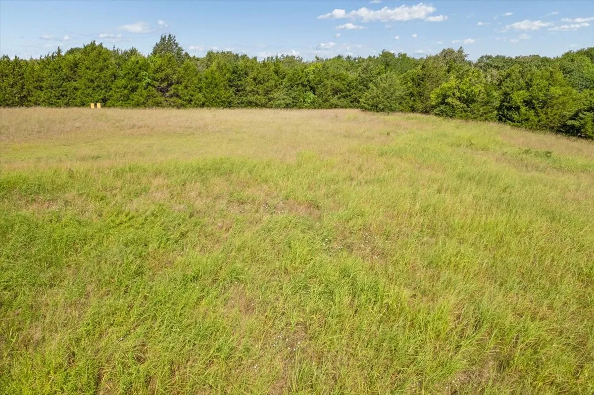 Improved Land For Sale in Collin County , 000 Hwy 121 & CR 528, Anna, Texas 75409, 0, 0, Garage spaces, 0 Sqft, built in 0, Price $1,100,000, mls#21325811, Real Estate Agent in Anna, Homes For Sale in Collin county, Homes For Sale in Anna, Realtor in Anna Texas, Real Estate Brokerage Independent Realty Texas, Luminita Cordes Realtor
