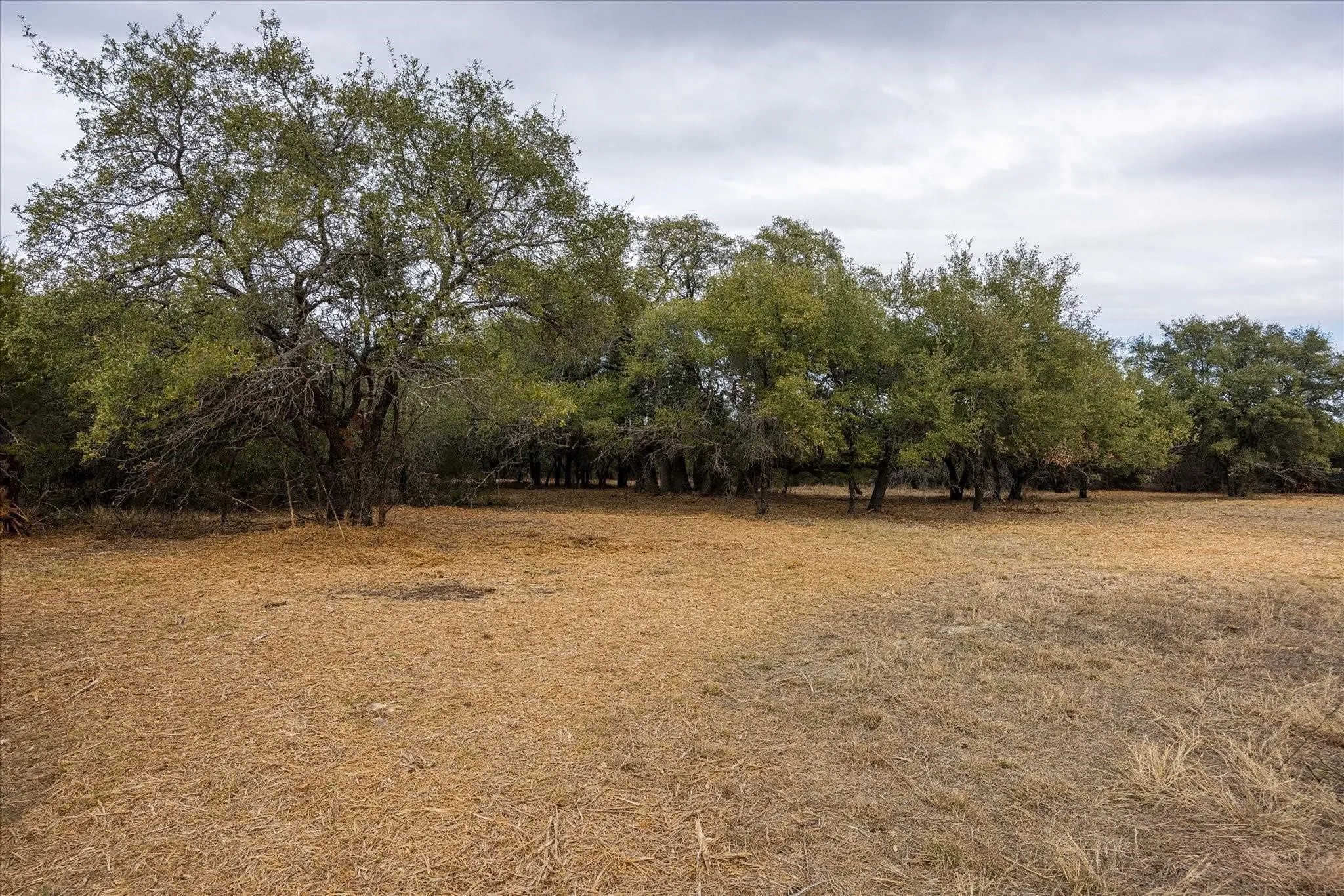 Unimproved Land For Sale in Somervell County , TBD CR 1012, Glen Rose, Texas 76043, 0, 0, Garage spaces, 0 Sqft, built in 0, Price $525,000, mls#21329343, Real Estate Agent in Glen Rose, Homes For Sale in Somervell county, Homes For Sale in Glen Rose, Realtor in Glen Rose Texas, Real Estate Brokerage Independent Realty Texas, Luminita Cordes Realtor