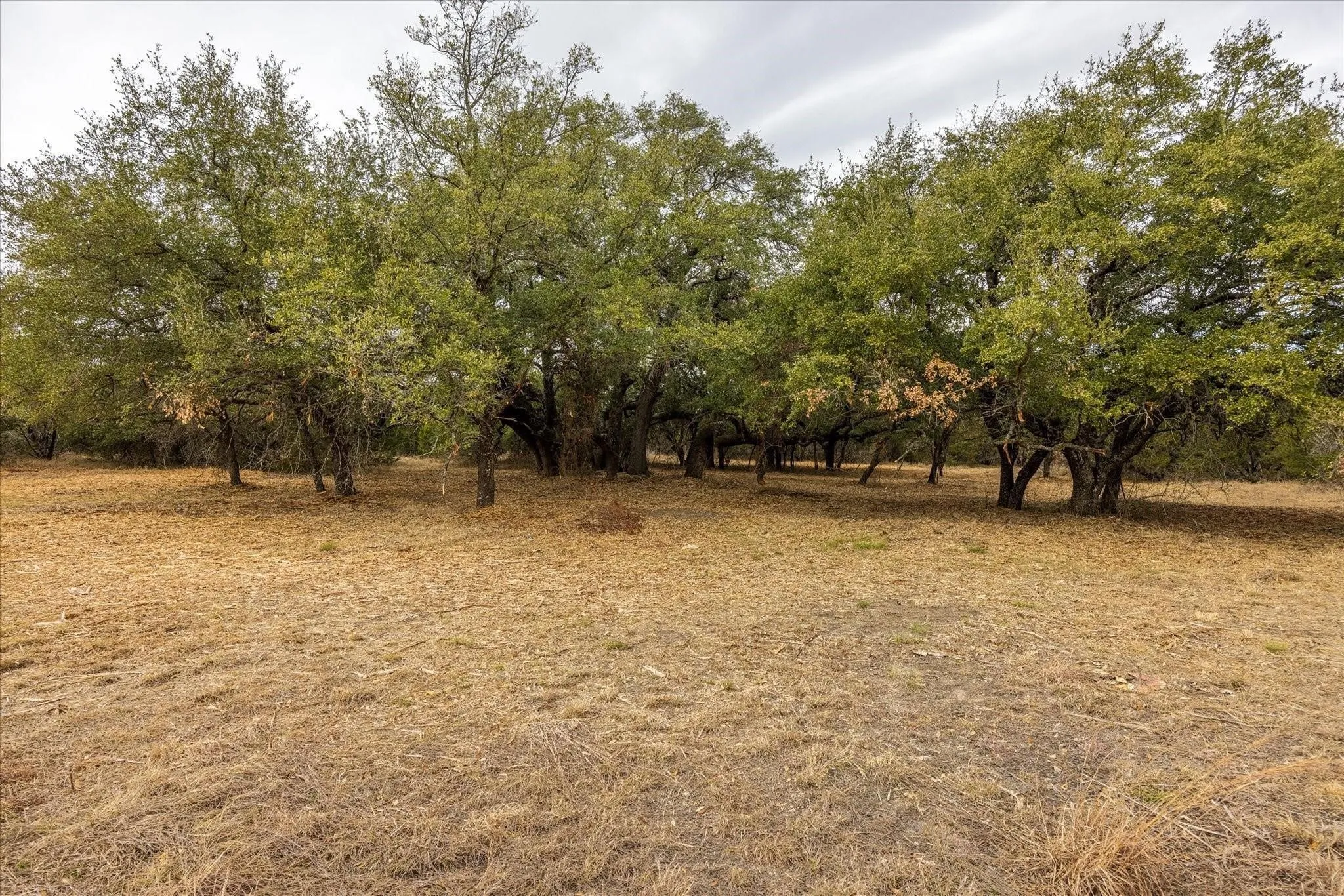 Unimproved Land For Sale in Somervell County , TBD CR 1012, Glen Rose, Texas 76043, 0, 0, Garage spaces, 0 Sqft, built in 0, Price $525,000, mls#21329343, Real Estate Agent in Glen Rose, Homes For Sale in Somervell county, Homes For Sale in Glen Rose, Realtor in Glen Rose Texas, Real Estate Brokerage Independent Realty Texas, Luminita Cordes Realtor