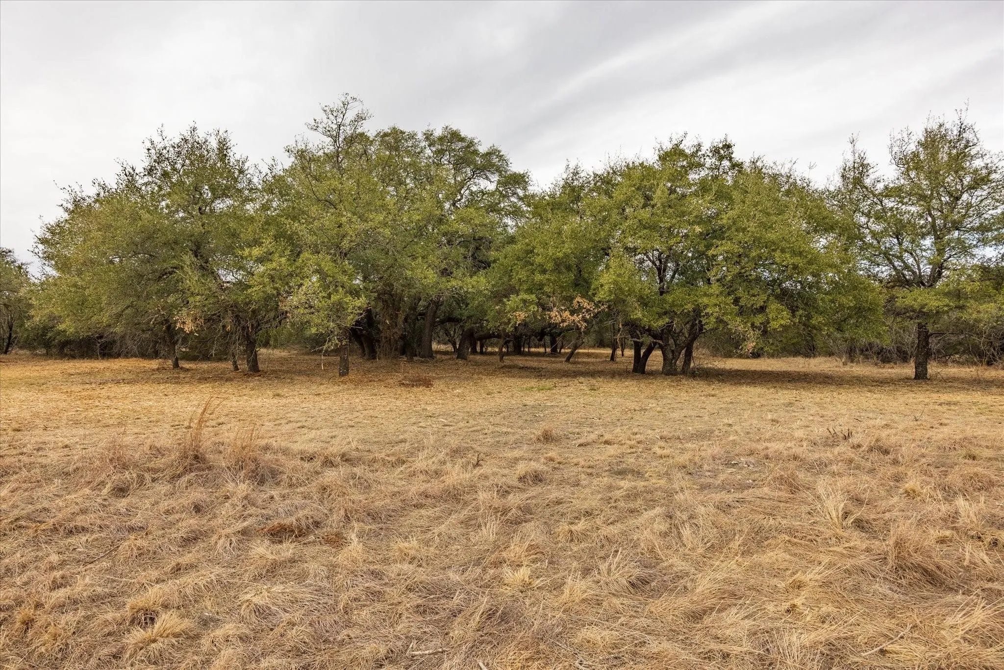 Unimproved Land For Sale in Somervell County , TBD CR 1012, Glen Rose, Texas 76043, 0, 0, Garage spaces, 0 Sqft, built in 0, Price $525,000, mls#21329343, Real Estate Agent in Glen Rose, Homes For Sale in Somervell county, Homes For Sale in Glen Rose, Realtor in Glen Rose Texas, Real Estate Brokerage Independent Realty Texas, Luminita Cordes Realtor