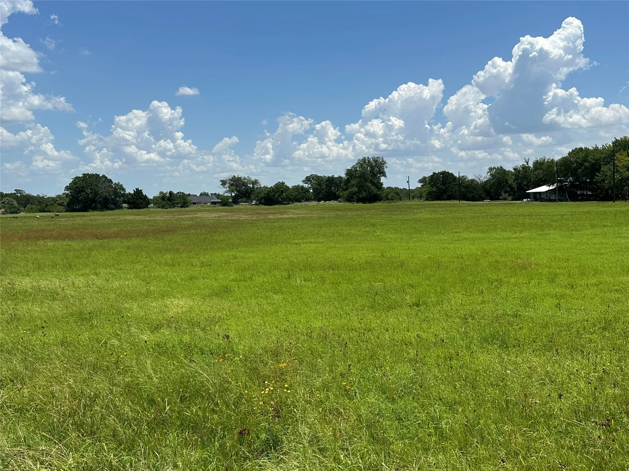 Unimproved Land For Sale in Grayson County , 14504 US Highway 377, Whitesboro, Texas 76273, 0, 0, Garage spaces, 0 Sqft, built in 2003, Price $375,000, mls#21329600, Real Estate Agent in Whitesboro, Homes For Sale in Grayson county, Homes For Sale in Whitesboro, Realtor in Whitesboro Texas, Real Estate Brokerage Independent Realty Texas, Luminita Cordes Realtor