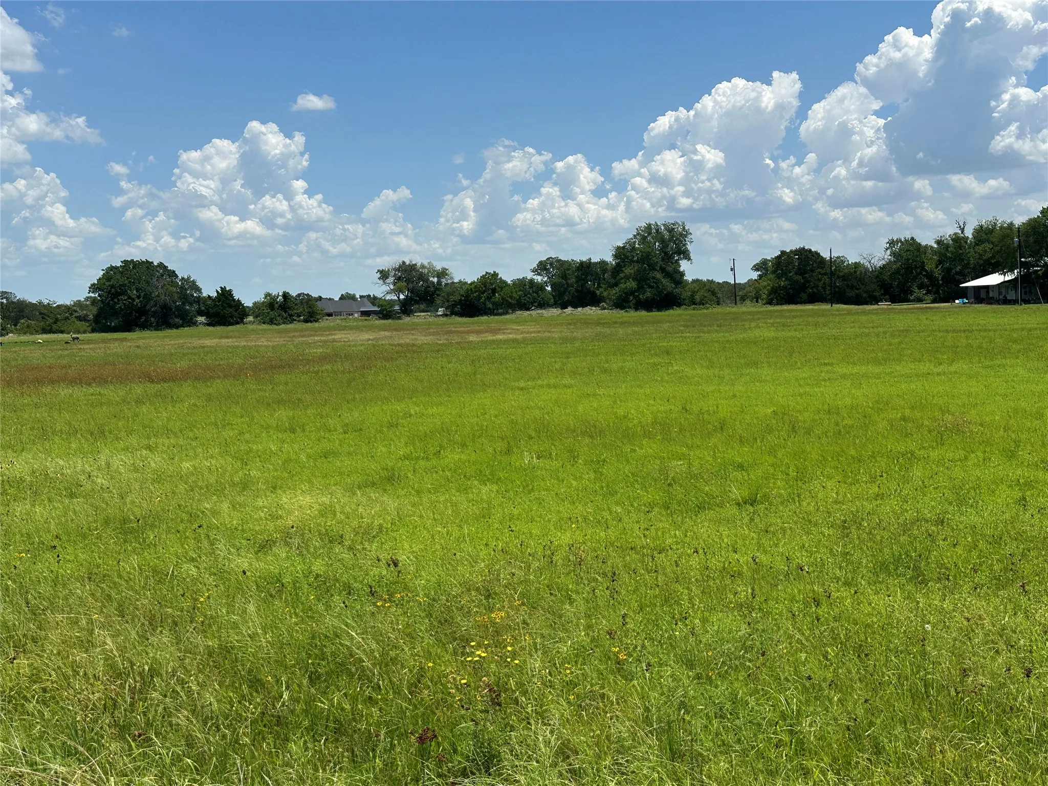 Unimproved Land For Sale in Grayson County , 14504 US Highway 377, Whitesboro, Texas 76273, 0, 0, Garage spaces, 0 Sqft, built in 2003, Price $375,000, mls#21329600, Real Estate Agent in Whitesboro, Homes For Sale in Grayson county, Homes For Sale in Whitesboro, Realtor in Whitesboro Texas, Real Estate Brokerage Independent Realty Texas, Luminita Cordes Realtor