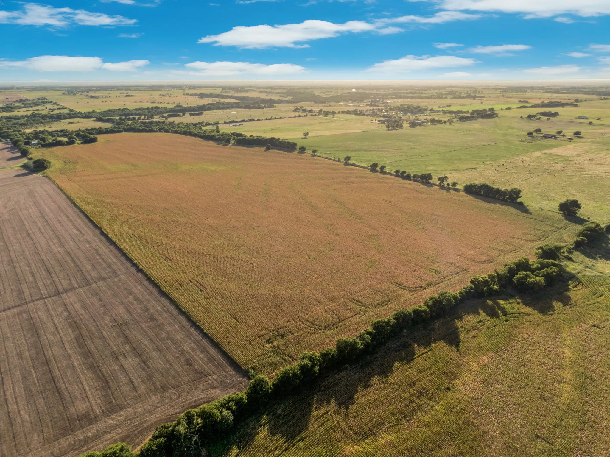 Unimproved Land For Sale in Hill County , 1188 Hcr 3138 N, Bynum, Texas 76631, 0, 0, Garage spaces, 0 Sqft, built in 0, mls#21313319, Real Estate Agent in Bynum, Homes For Sale in Hill county, Homes For Sale in Bynum, Realtor in Bynum Texas, Real Estate Brokerage Independent Realty Texas, Luminita Cordes Realtor