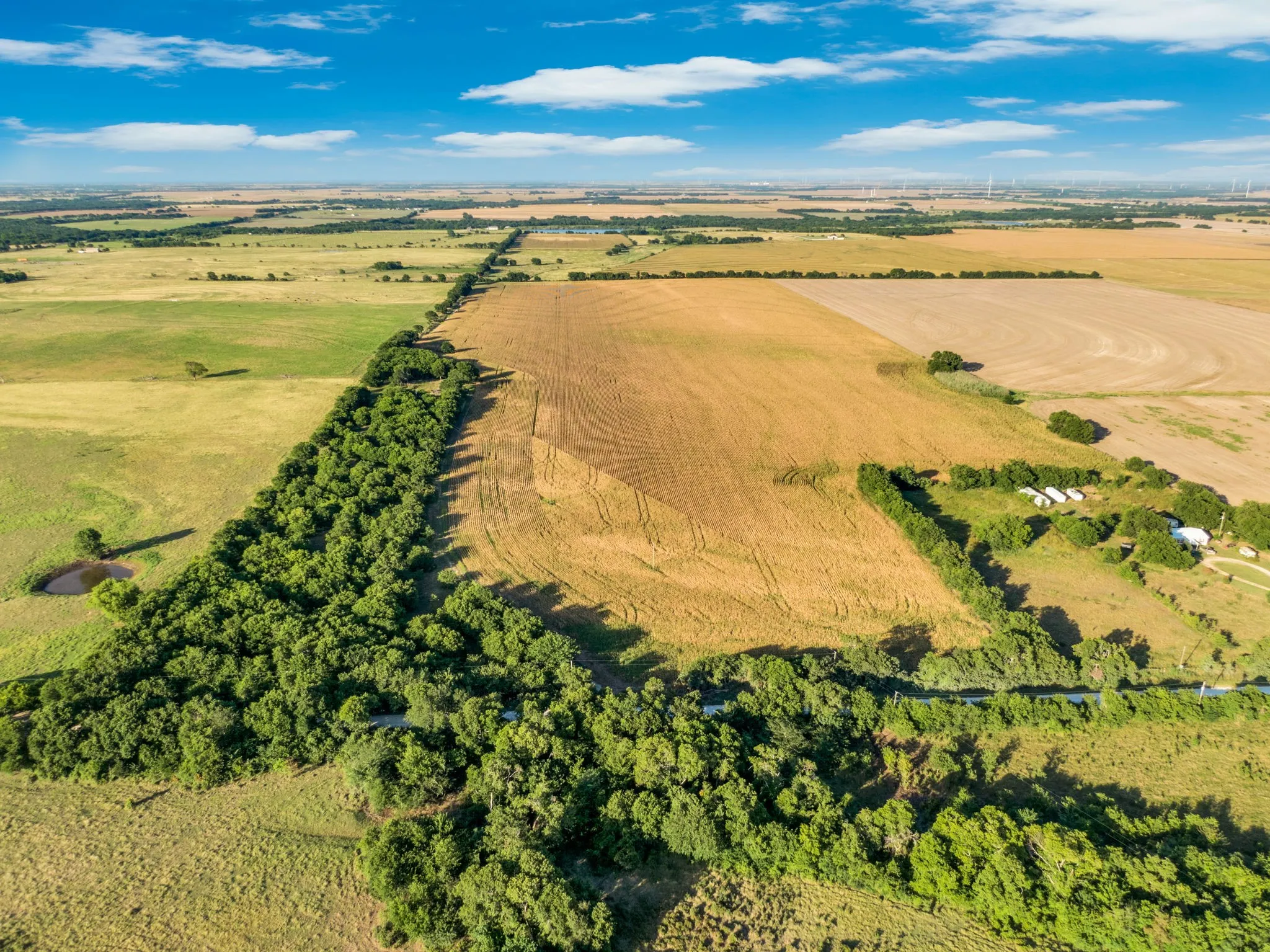 Unimproved Land For Sale in Hill County , 1188 Hcr 3138 N, Bynum, Texas 76631, 0, 0, Garage spaces, 0 Sqft, built in 0, mls#21313319, Real Estate Agent in Bynum, Homes For Sale in Hill county, Homes For Sale in Bynum, Realtor in Bynum Texas, Real Estate Brokerage Independent Realty Texas, Luminita Cordes Realtor