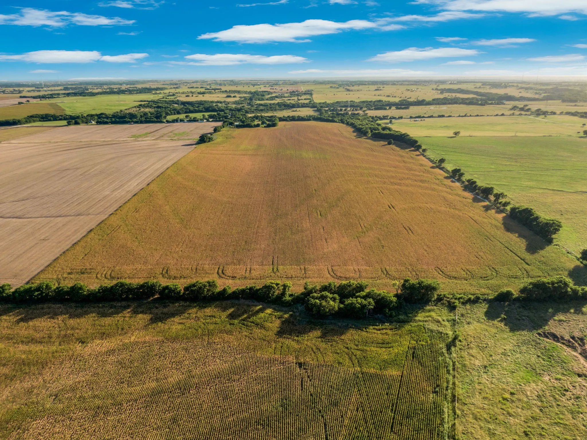 Unimproved Land For Sale in Hill County , 1188 Hcr 3138 N, Bynum, Texas 76631, 0, 0, Garage spaces, 0 Sqft, built in 0, mls#21313319, Real Estate Agent in Bynum, Homes For Sale in Hill county, Homes For Sale in Bynum, Realtor in Bynum Texas, Real Estate Brokerage Independent Realty Texas, Luminita Cordes Realtor