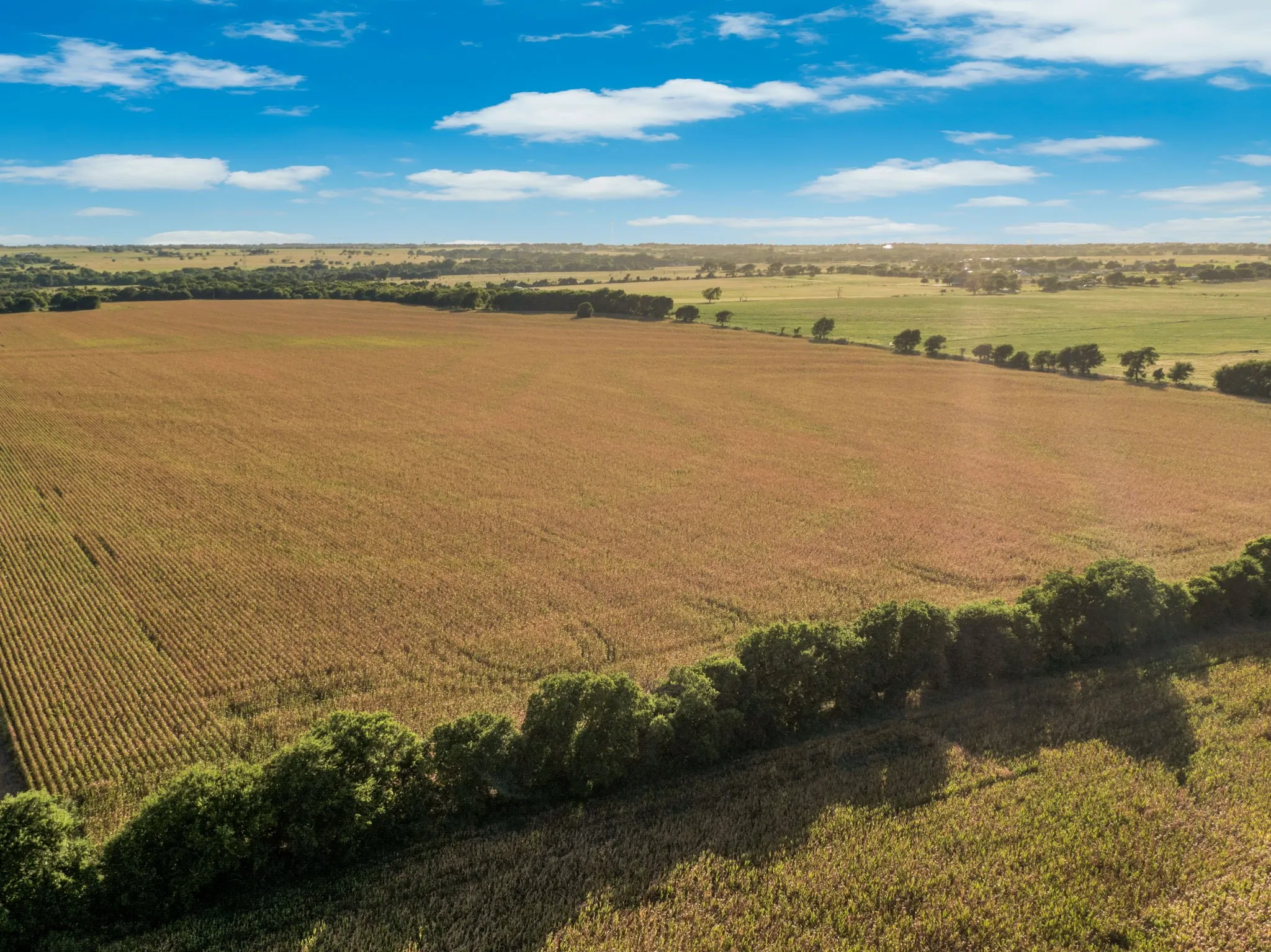 Unimproved Land For Sale in Hill County , 1188 Hcr 3138 N, Bynum, Texas 76631, 0, 0, Garage spaces, 0 Sqft, built in 0, mls#21313319, Real Estate Agent in Bynum, Homes For Sale in Hill county, Homes For Sale in Bynum, Realtor in Bynum Texas, Real Estate Brokerage Independent Realty Texas, Luminita Cordes Realtor
