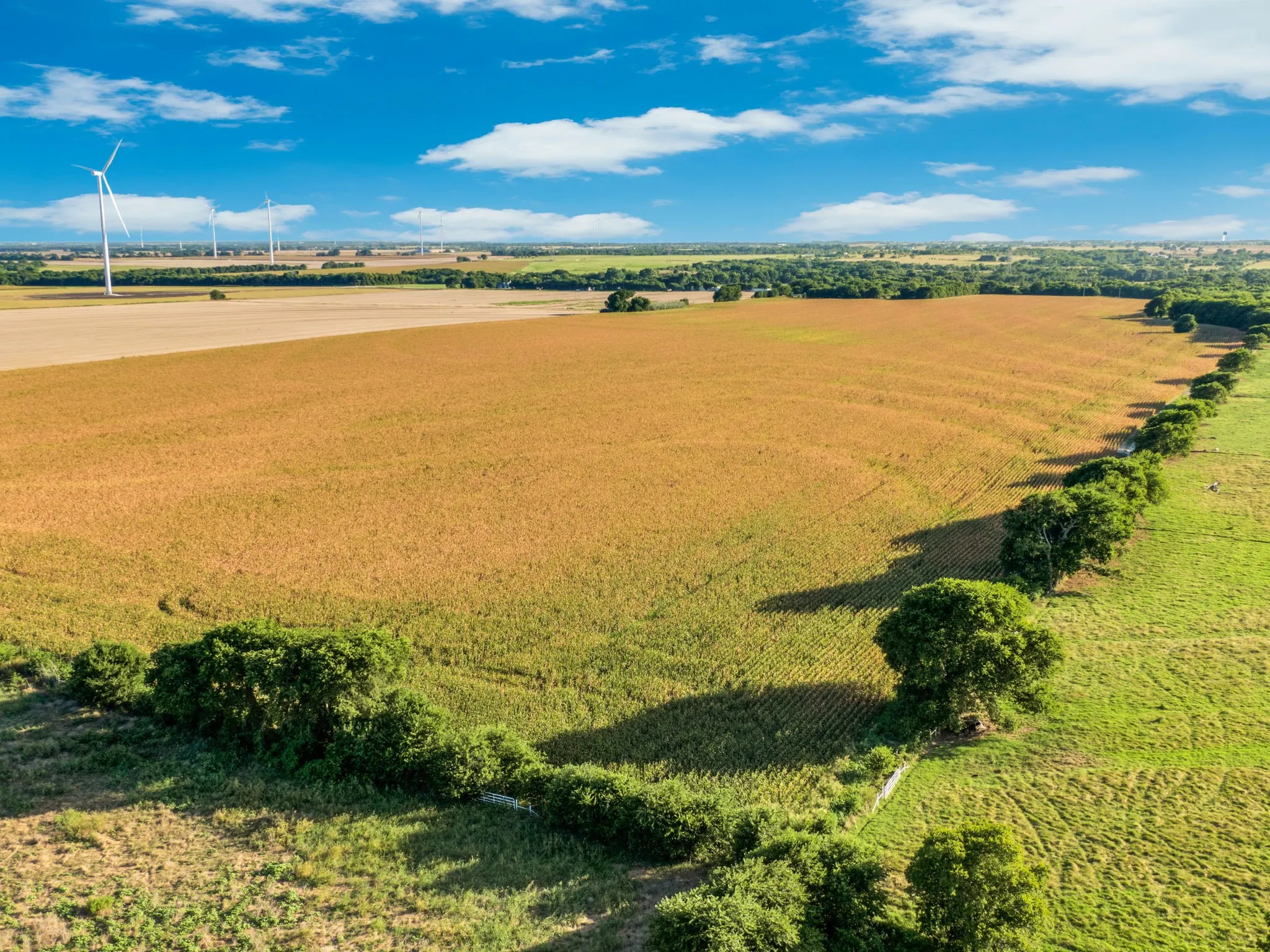 Unimproved Land For Sale in Hill County , 1188 Hcr 3138 N, Bynum, Texas 76631, 0, 0, Garage spaces, 0 Sqft, built in 0, mls#21313319, Real Estate Agent in Bynum, Homes For Sale in Hill county, Homes For Sale in Bynum, Realtor in Bynum Texas, Real Estate Brokerage Independent Realty Texas, Luminita Cordes Realtor