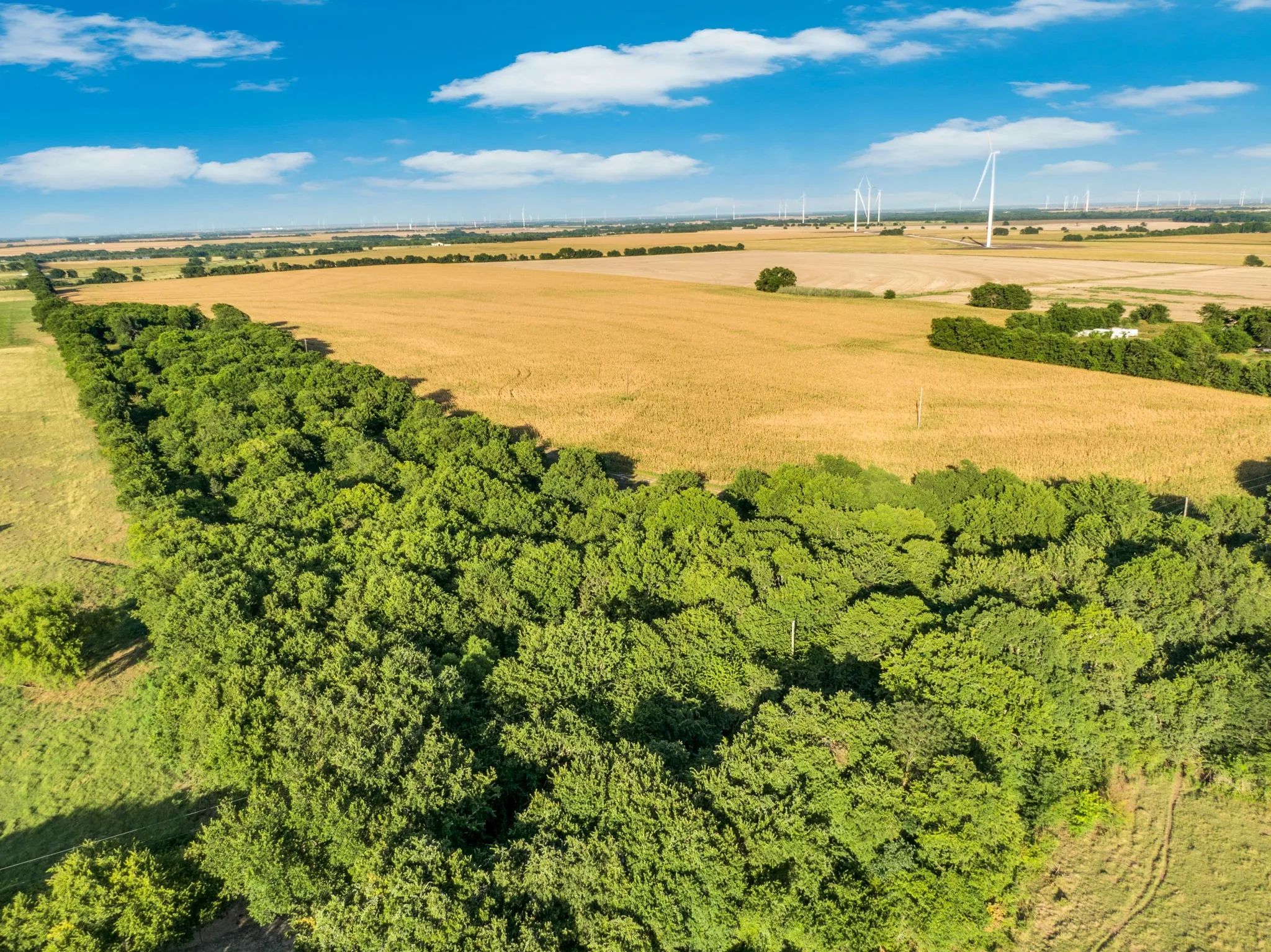 Unimproved Land For Sale in Hill County , 1188 Hcr 3138 N, Bynum, Texas 76631, 0, 0, Garage spaces, 0 Sqft, built in 0, mls#21313319, Real Estate Agent in Bynum, Homes For Sale in Hill county, Homes For Sale in Bynum, Realtor in Bynum Texas, Real Estate Brokerage Independent Realty Texas, Luminita Cordes Realtor