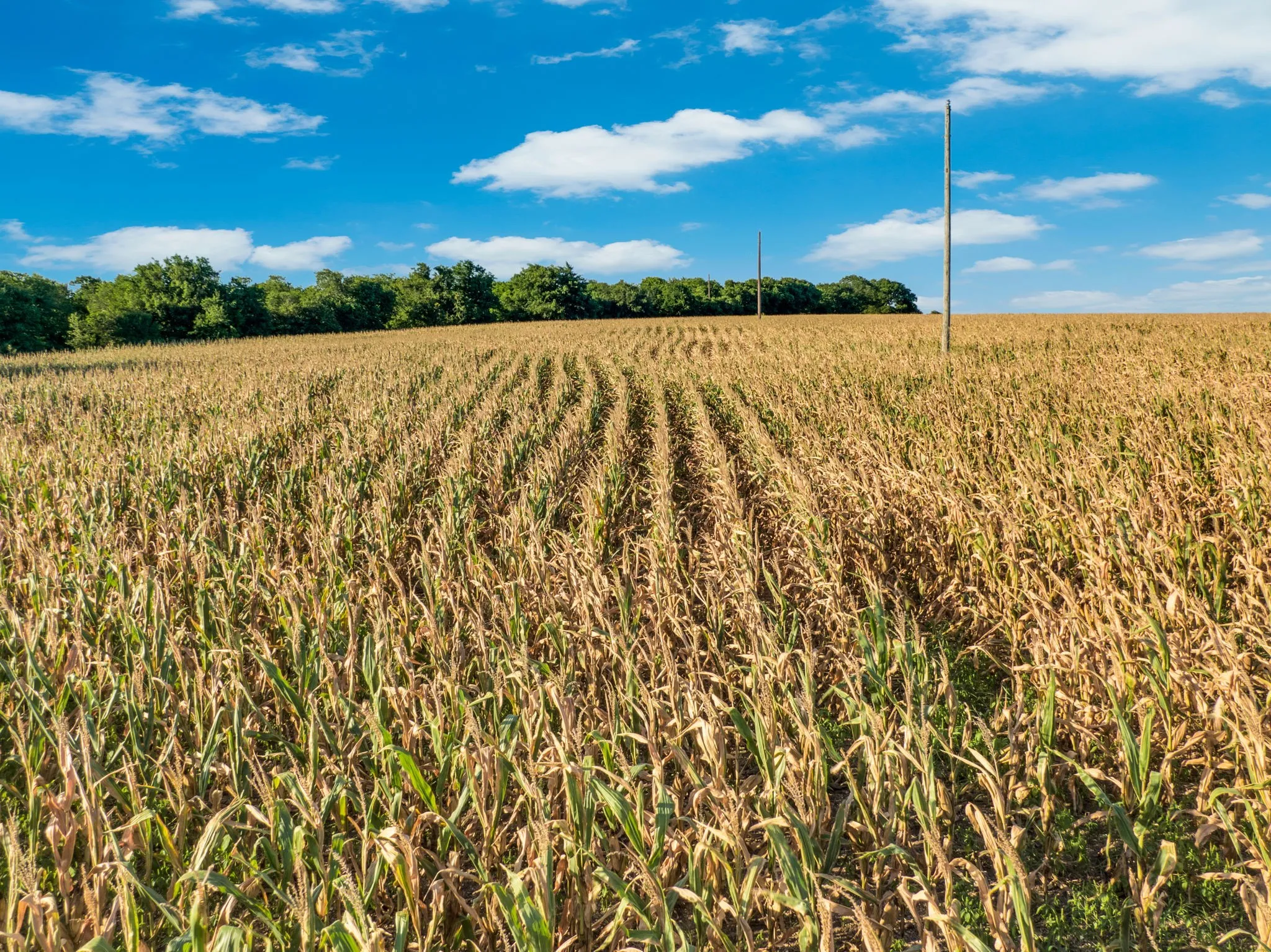 Unimproved Land For Sale in Hill County , 1188 Hcr 3138 N, Bynum, Texas 76631, 0, 0, Garage spaces, 0 Sqft, built in 0, mls#21313319, Real Estate Agent in Bynum, Homes For Sale in Hill county, Homes For Sale in Bynum, Realtor in Bynum Texas, Real Estate Brokerage Independent Realty Texas, Luminita Cordes Realtor