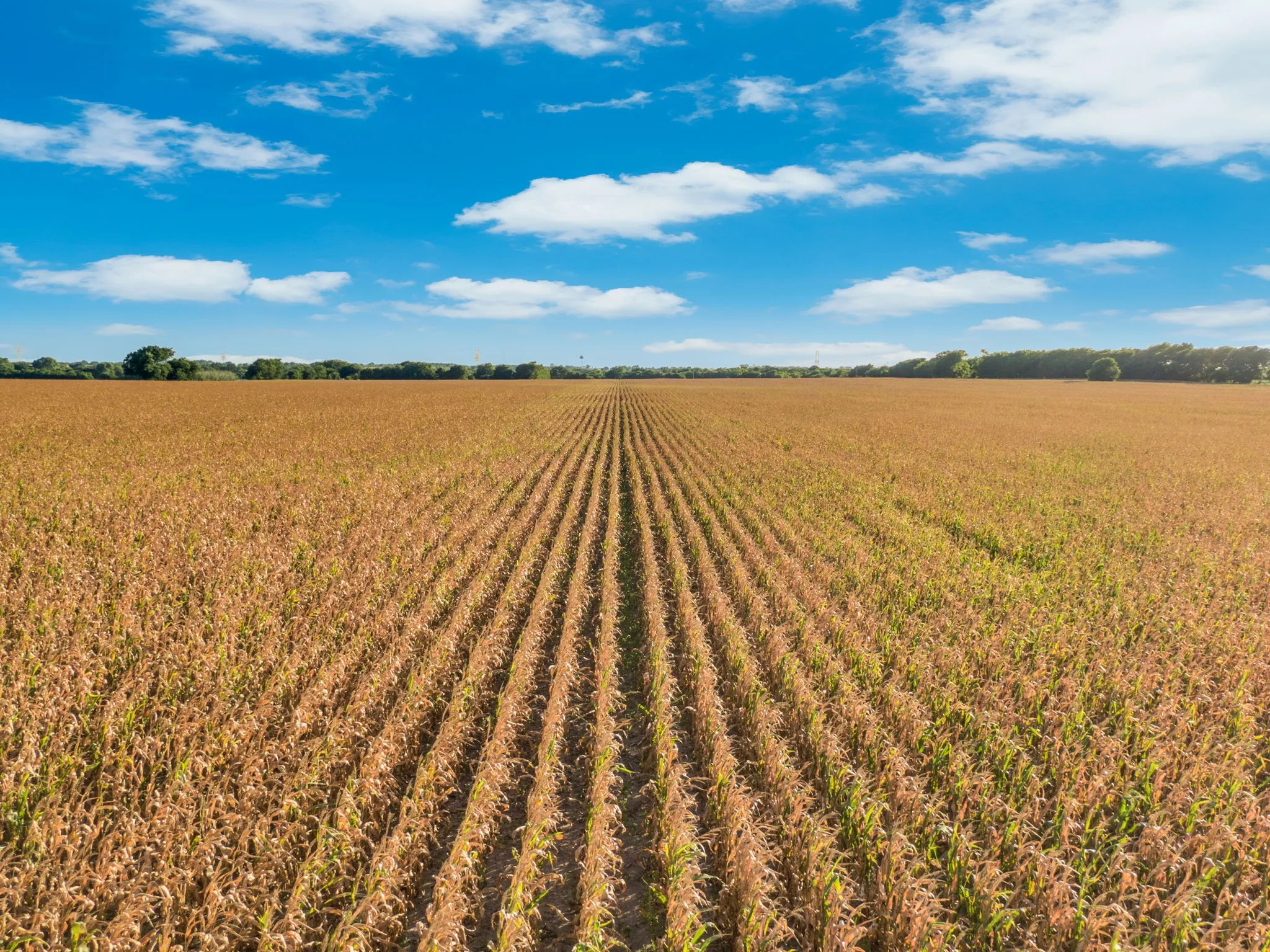 Unimproved Land For Sale in Hill County , 1188 Hcr 3138 N, Bynum, Texas 76631, 0, 0, Garage spaces, 0 Sqft, built in 0, mls#21313319, Real Estate Agent in Bynum, Homes For Sale in Hill county, Homes For Sale in Bynum, Realtor in Bynum Texas, Real Estate Brokerage Independent Realty Texas, Luminita Cordes Realtor